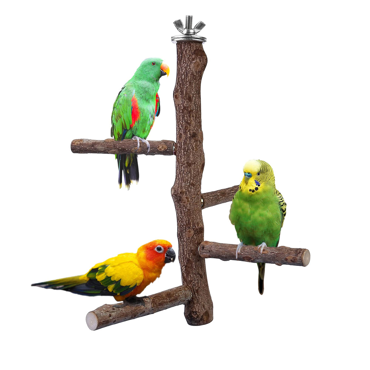 Filhome Bird Perch Stand Toy, Natural Wood Parrot Perch Bird Cage Branch Perch Accessories For Parakeets Cockatiels Conures Macaws Finches Love Birds (M: 10' Length)