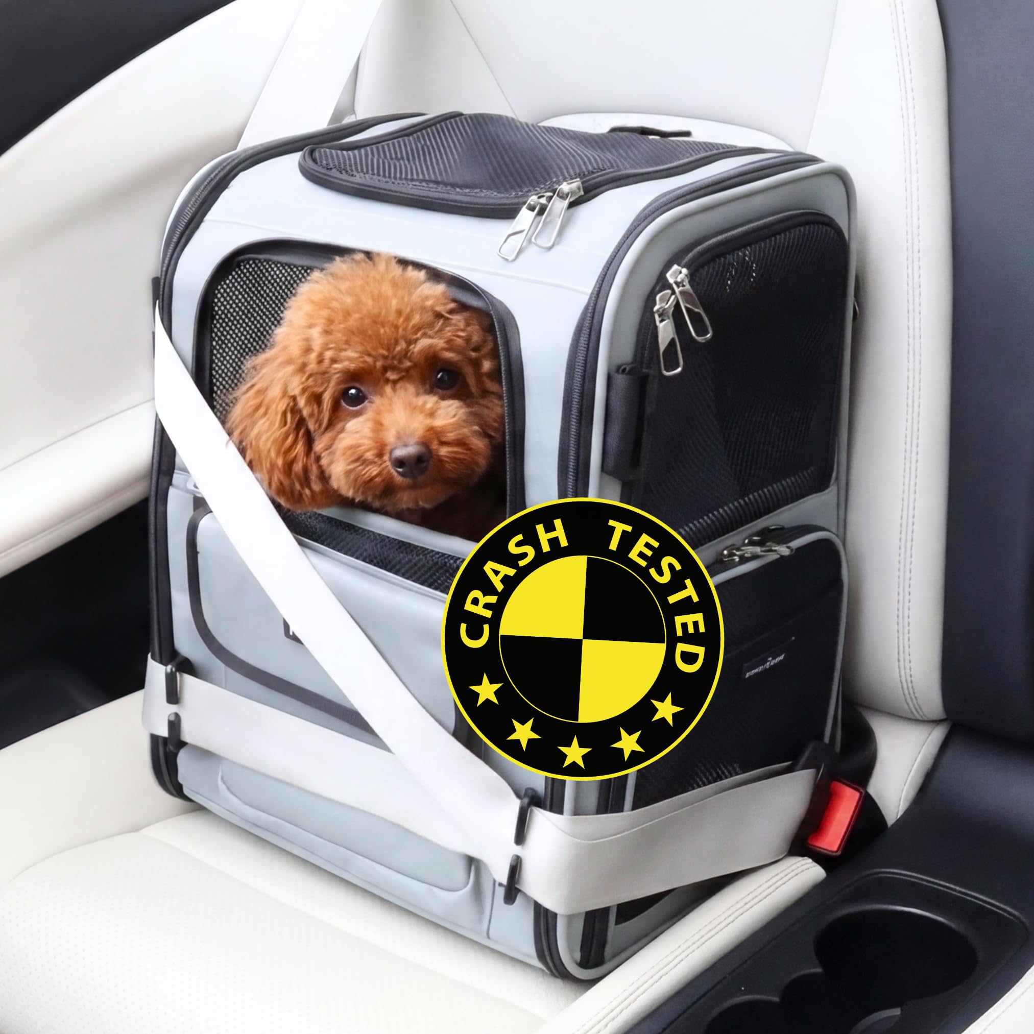 PawsInCar Crash-Tested Expandable Cat Backpack Carrier & Small Dog Car Seat | CPS Certified for Crash Protection & Safe Pet Trav