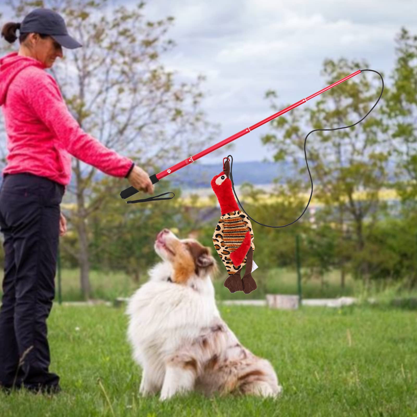 Amyese Interactive Dog Toys - Extendable Flirt Pole With 2Pcs Squeaky Plush Toy Tugs Red Green For Dog Outdoor Entertainment, Train And Exercise
