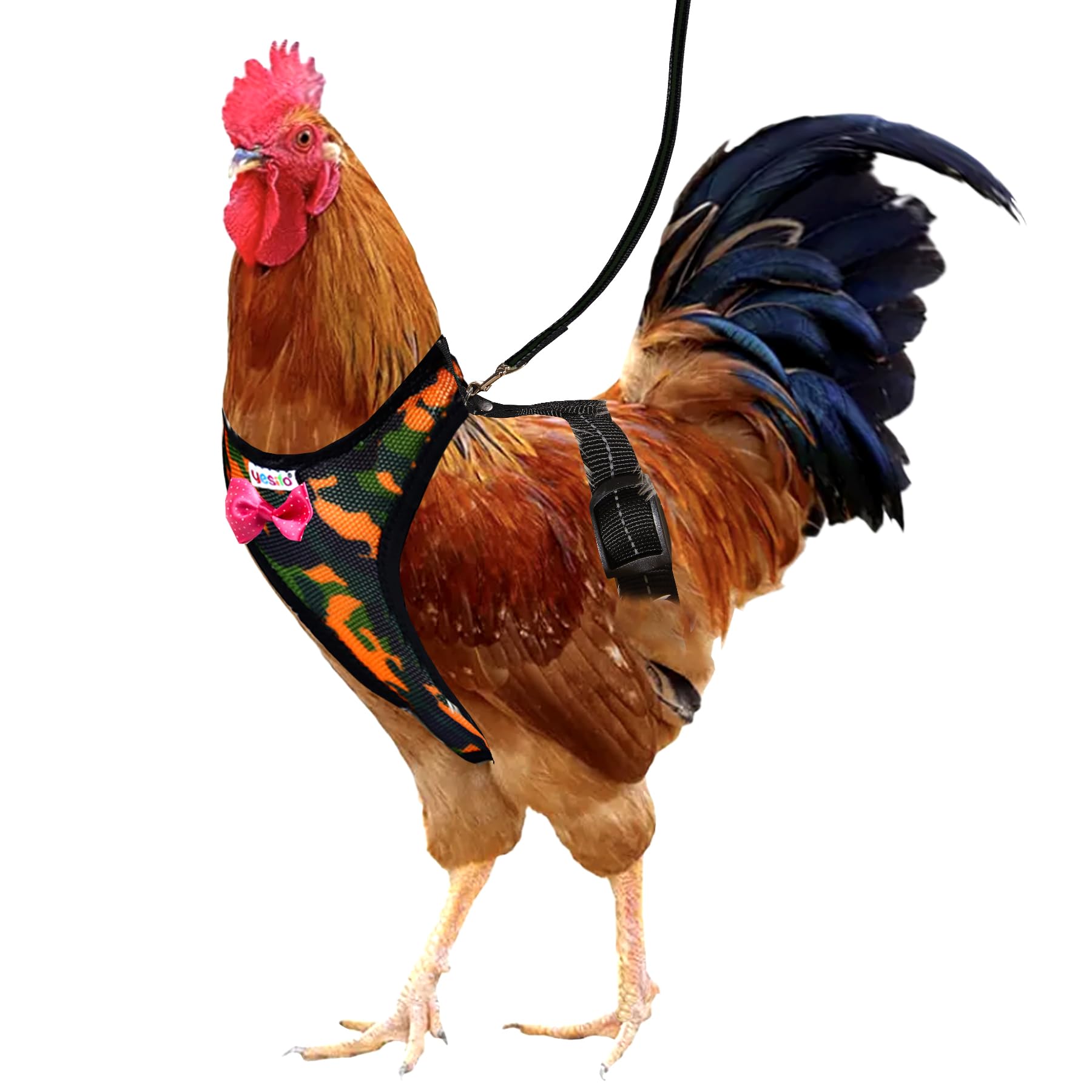 Yesito Premium Adjustable Chicken Harness with Camouflage Design & Comfortable Breathable Fabric - Includes Resilient 5.4ft Matc