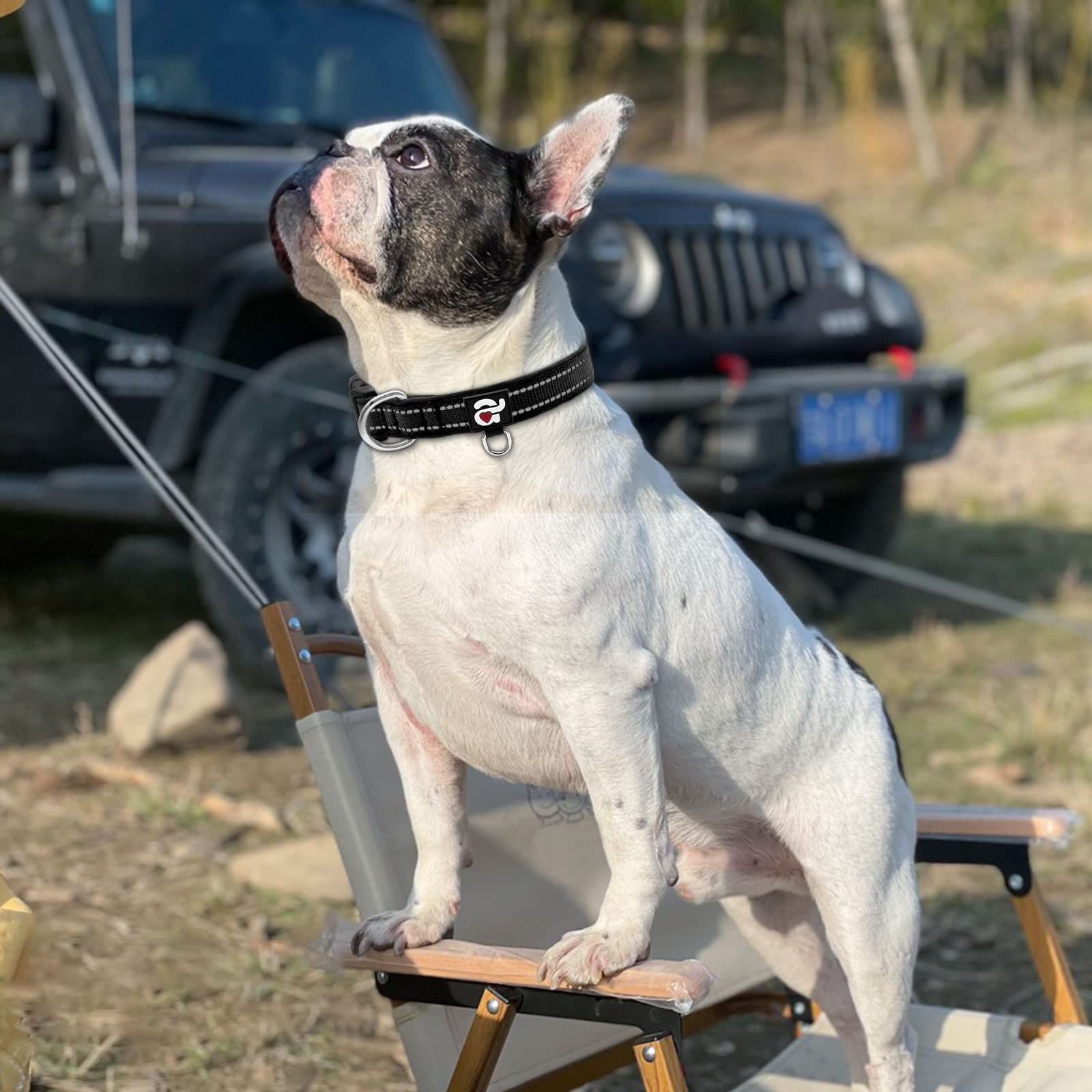 Azuza Reflective Dog Collar,Soft Neoprene Padded Pet Collar With Id Tag Ring,Adjustable For Medium Dogs,Black,M