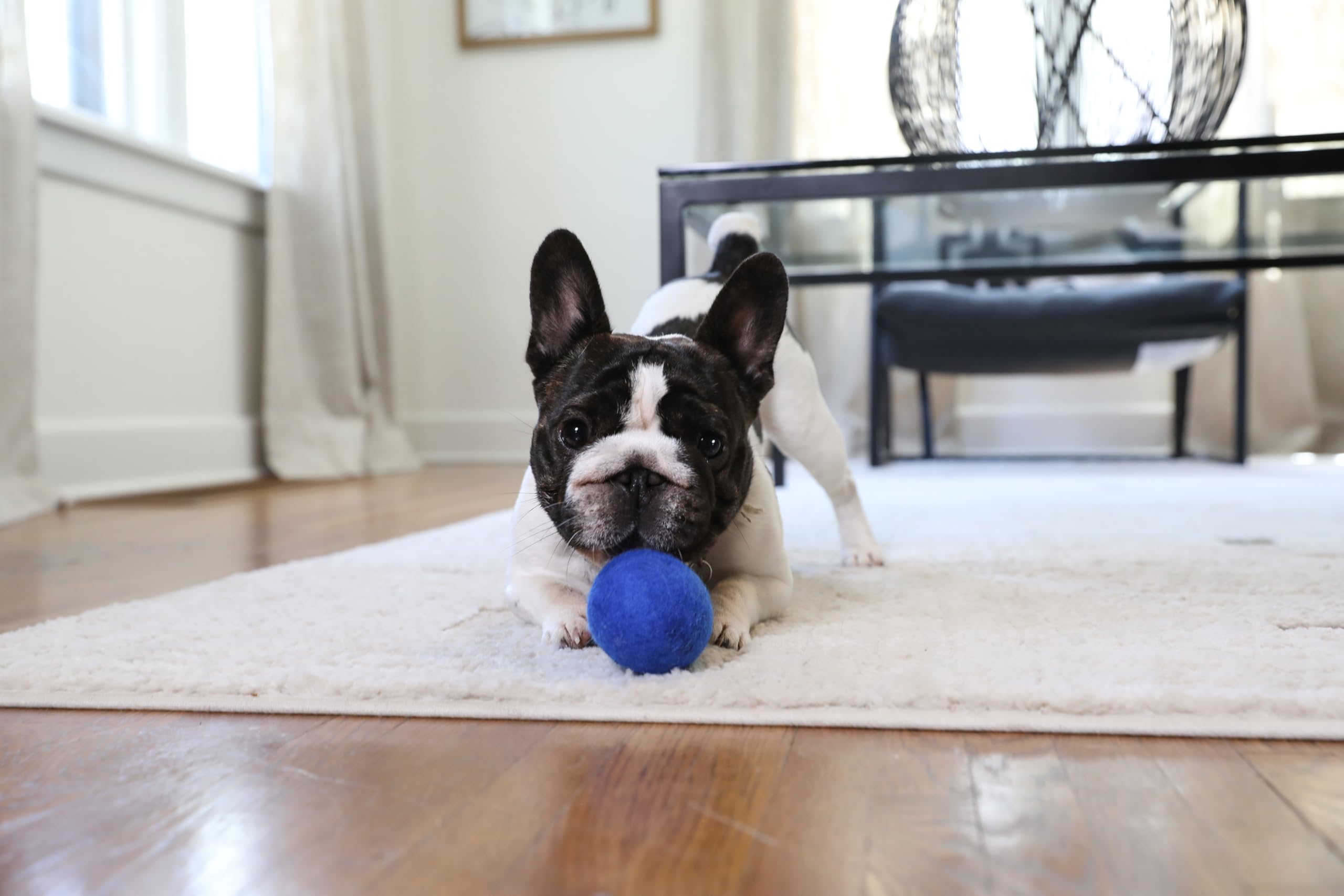 JW Wool-EE Ball Small (2 Pack) Handmade 100% Wool All Natural Dog Toy for Fetch