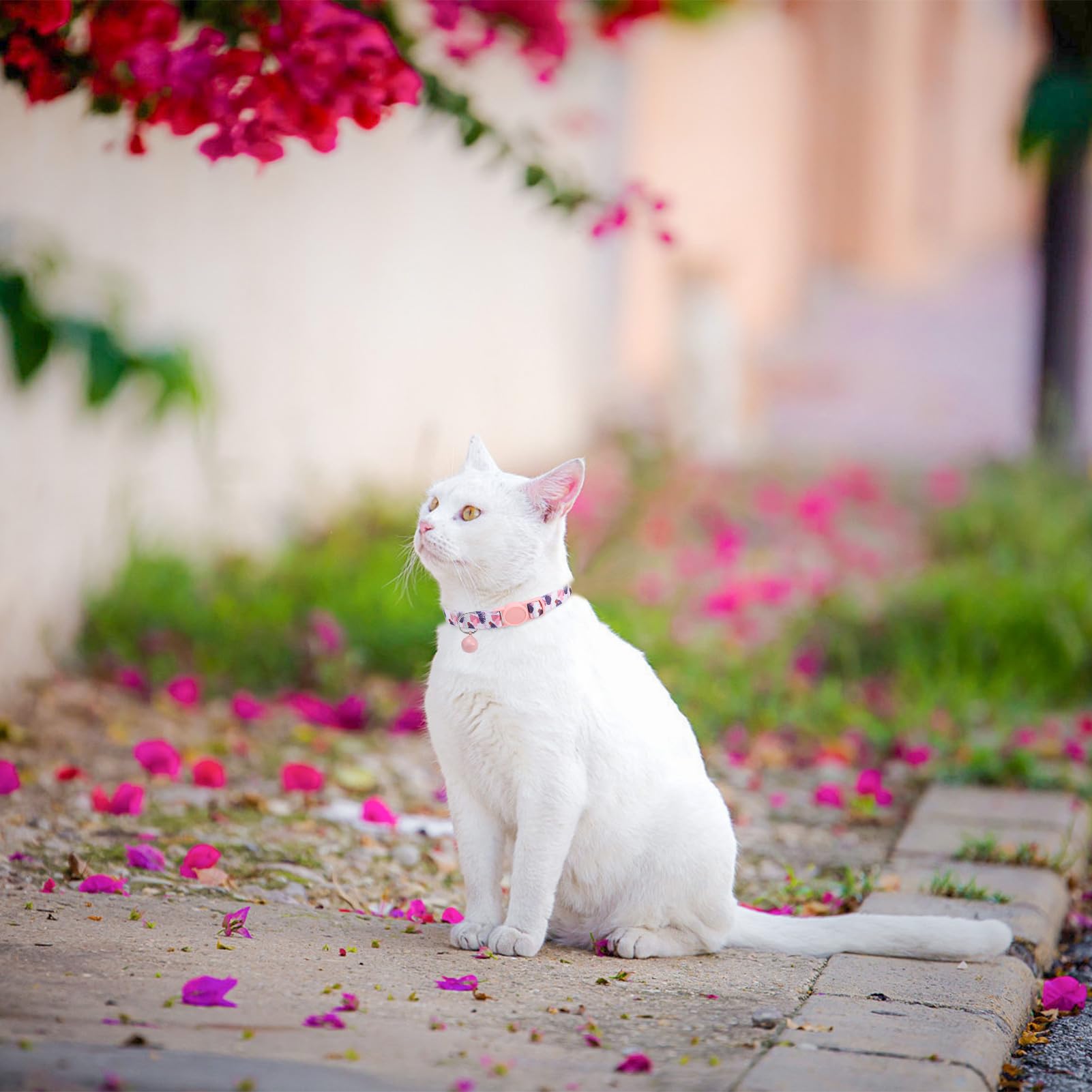 Scenereal Breakaway Cat Collar With Bells, Safety Buckle Soft Adjustable Cats Collars For Spring Summer Daily Wearing, Kitten Pu