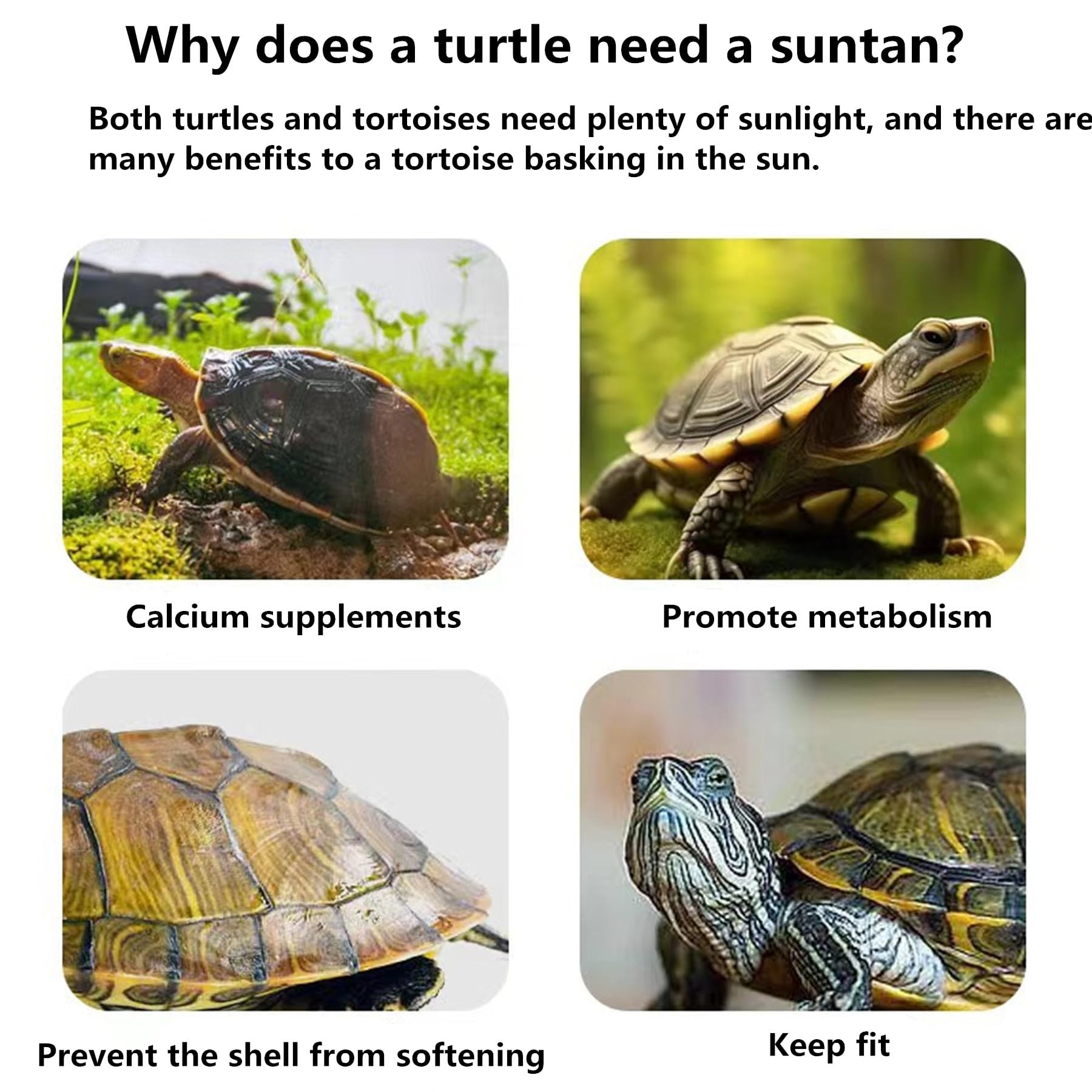 Turtle Resting Basking Platform, Plastic Turtle Ramp, Double Ladder Tortoise Climbing Resting Terrace for Frog Terrapin Reptile