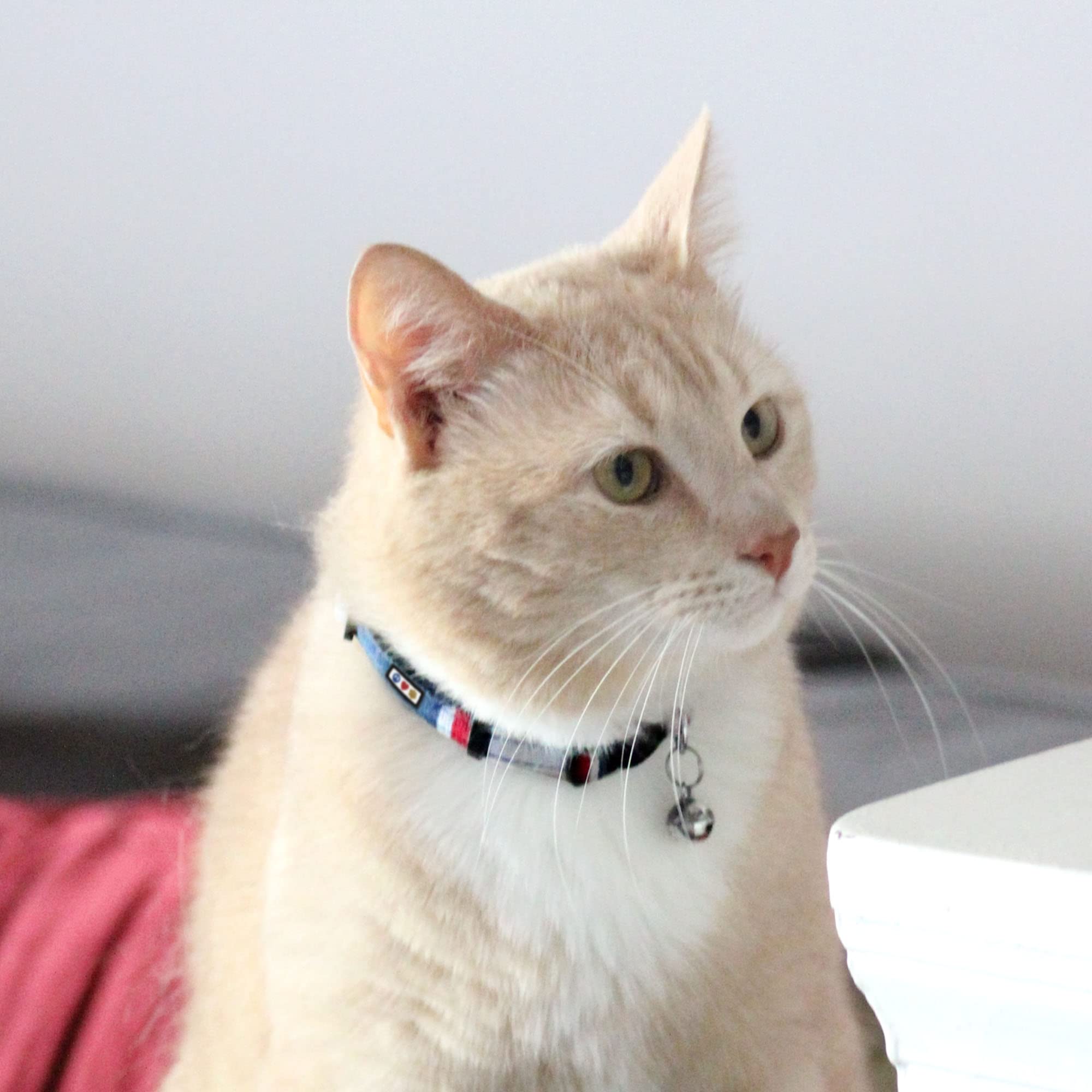 Pawtitas Pet Multicolor Cat Collar With Safety Buckle And Removable Bell Cat Collar Kitten Collar Green/White/Blue Cat Collar