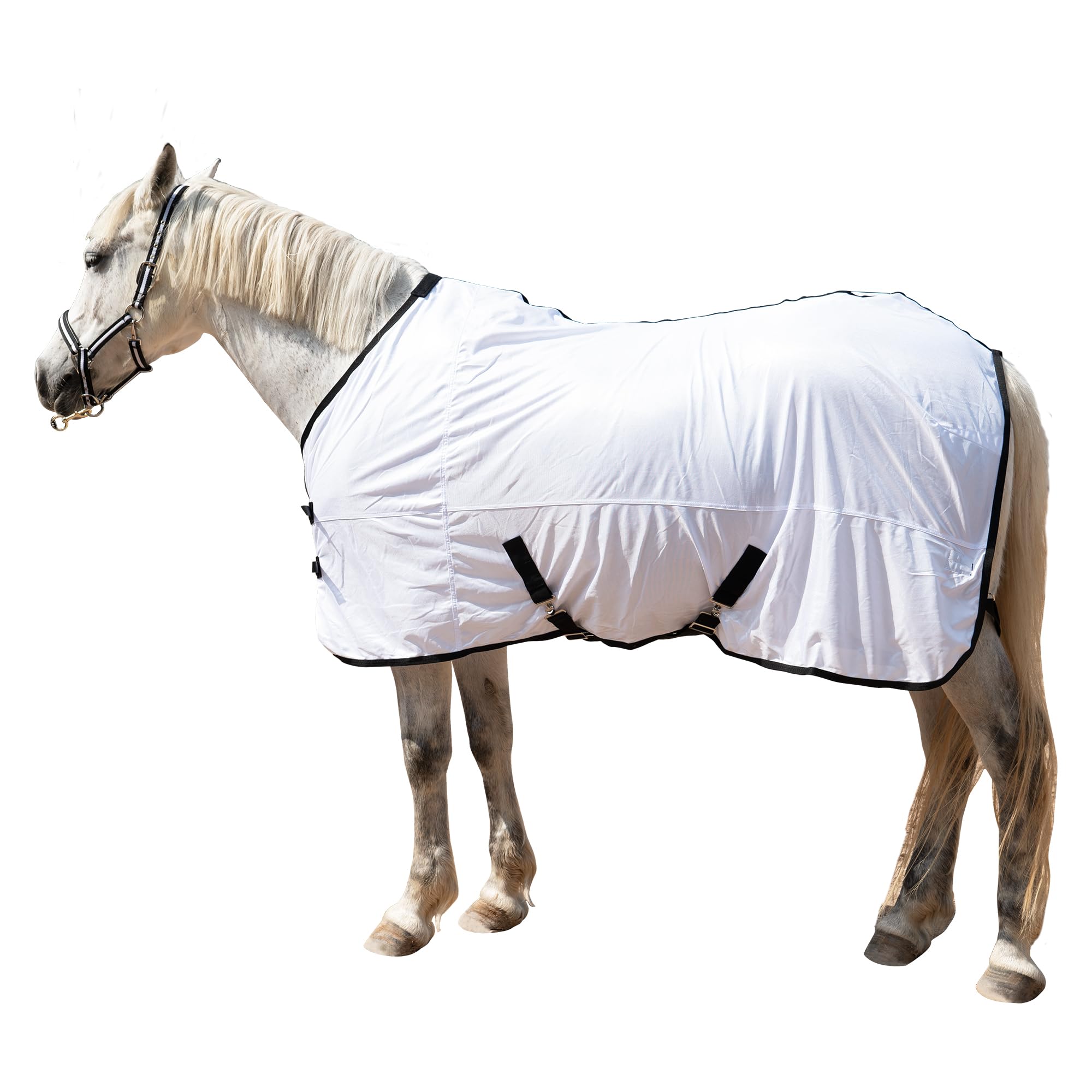 TARFEPA Horse Fly Sheet Equine Summer Sheets, Comfy Mesh Bug and Mosquito Protection Standard Neck - White 78