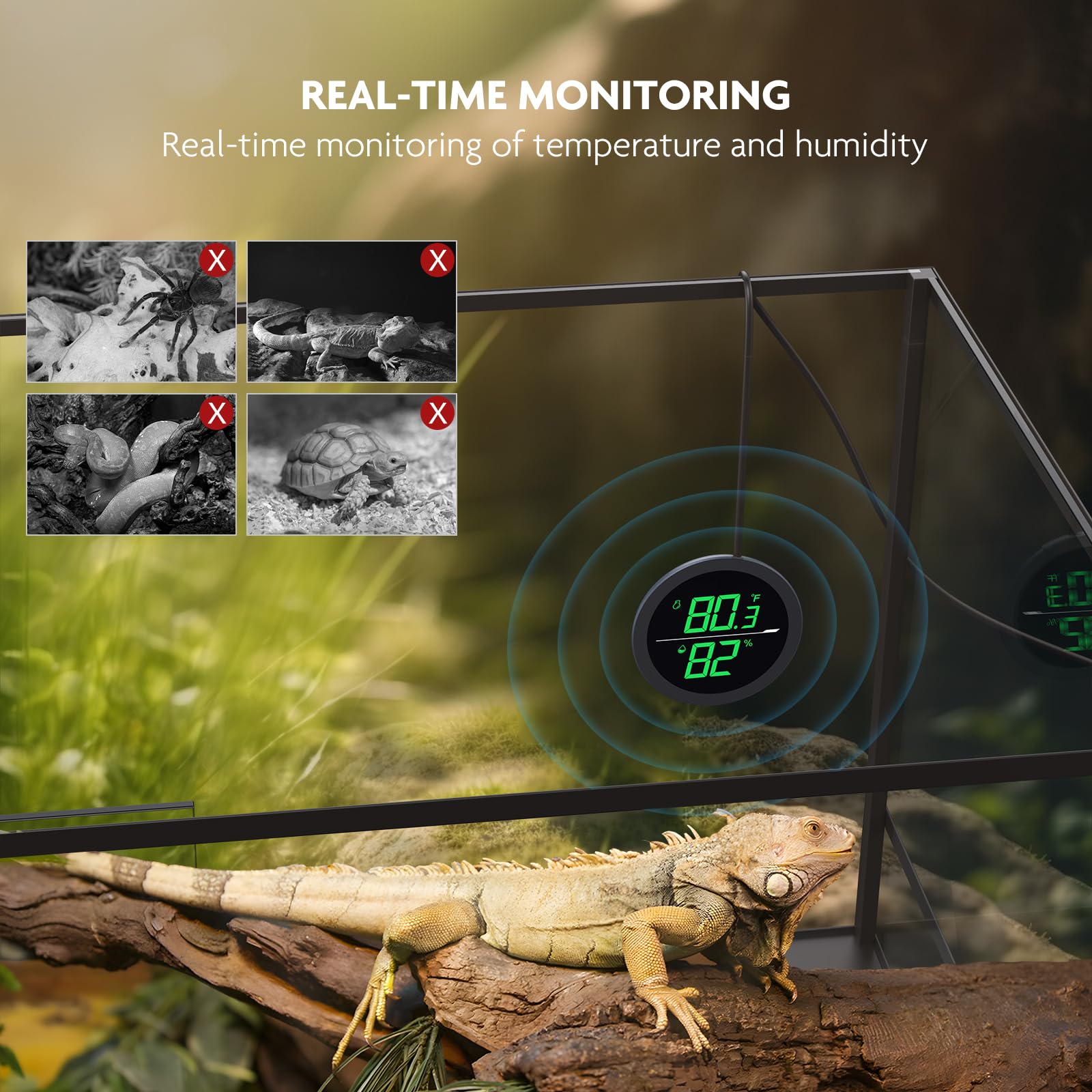 Reptile Tank Thermometer, Paizoo Led Digital Reptile Thermometer And Humidity Gauge Hygrometer For Reptile Tank Snake Tank Acces