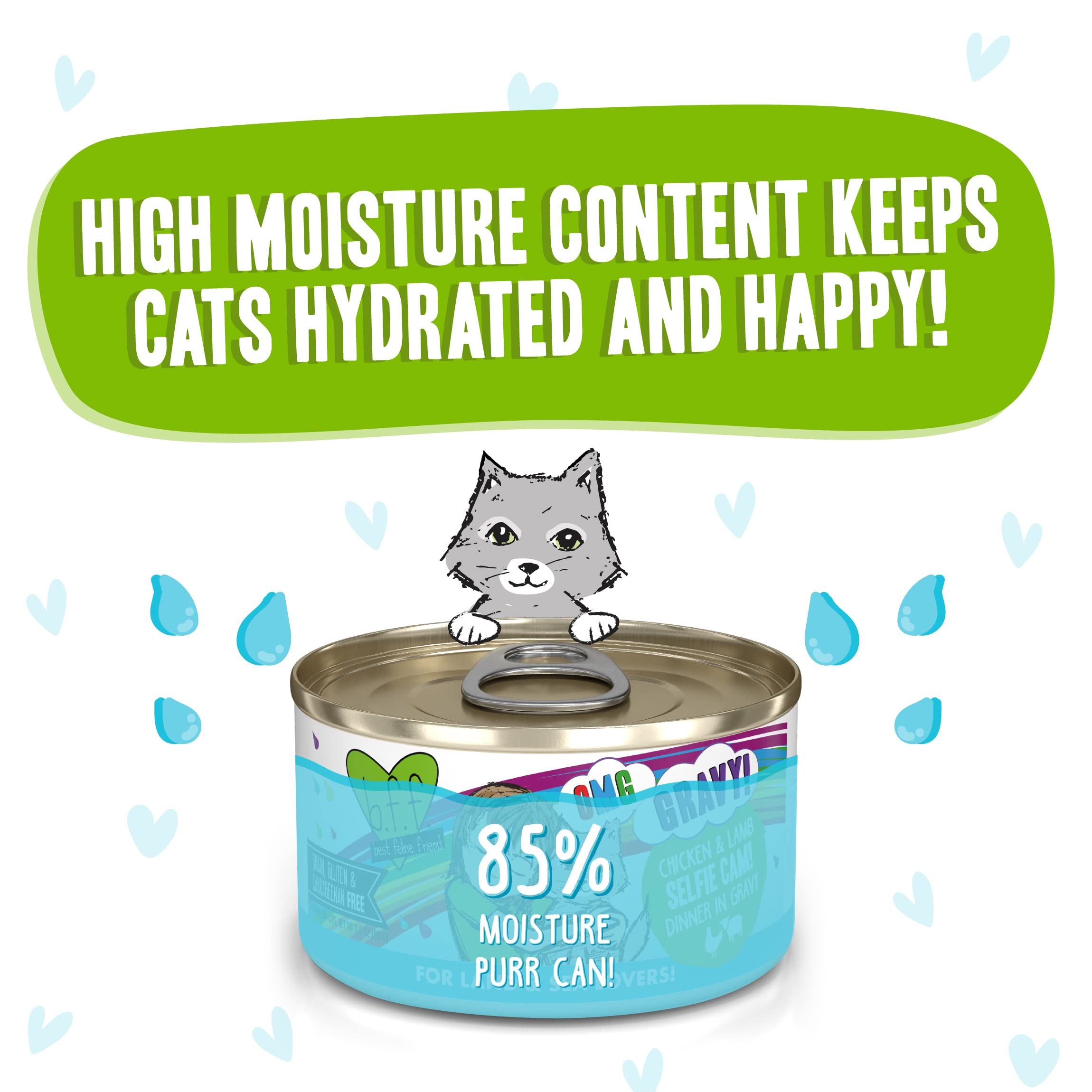 Weruva B.F.F. OMG - Best Feline Friend Oh My Gravy!, Selfie Cam! with Chicken & Lamb in Gravy Cat Food, 2.8oz Can (Pack of 12)