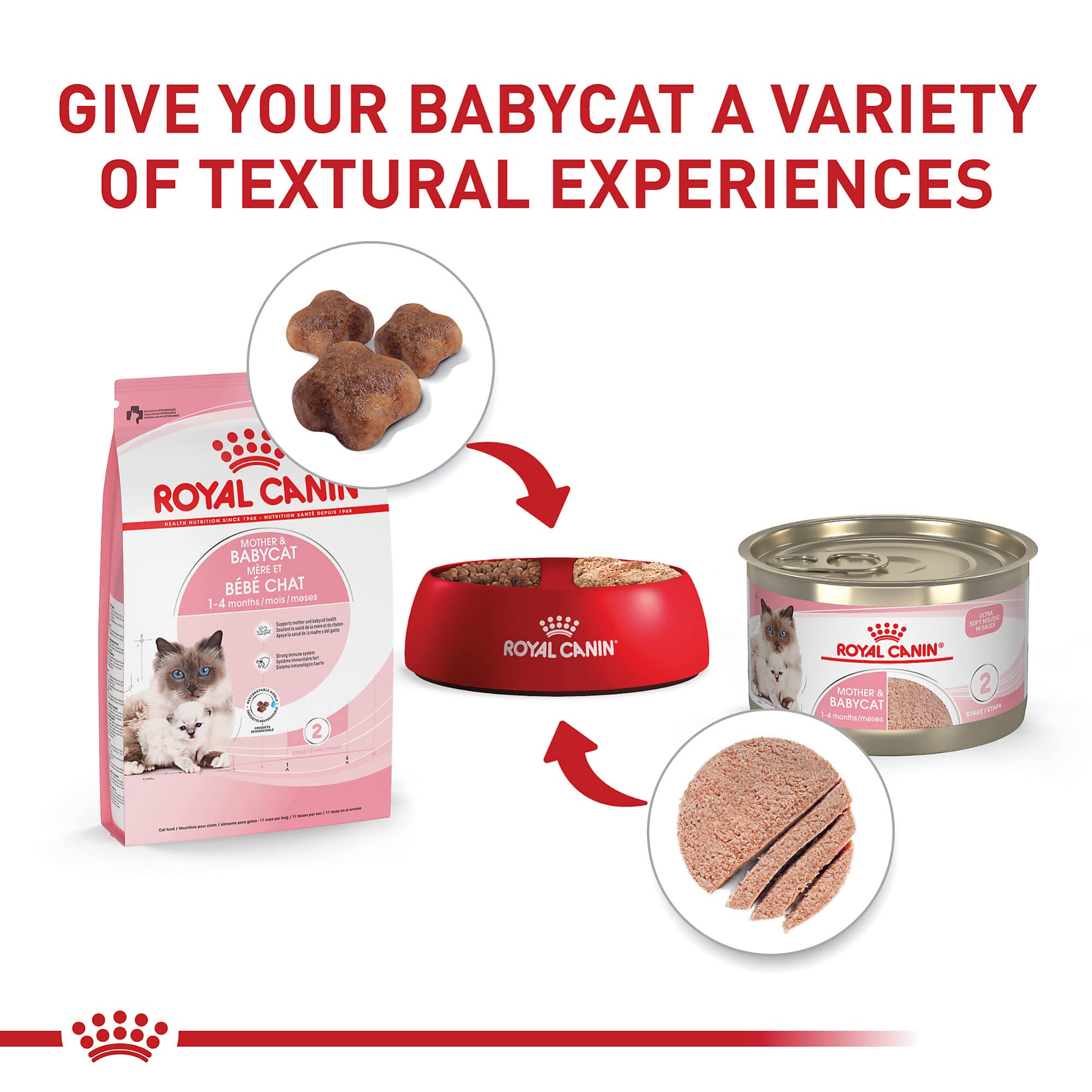 Royal Canin Feline Health Nutrition Mother & Babycat Dry Cat Food for Newborn Kittens and Pregnant or Nursing Cats, 6 lb bag