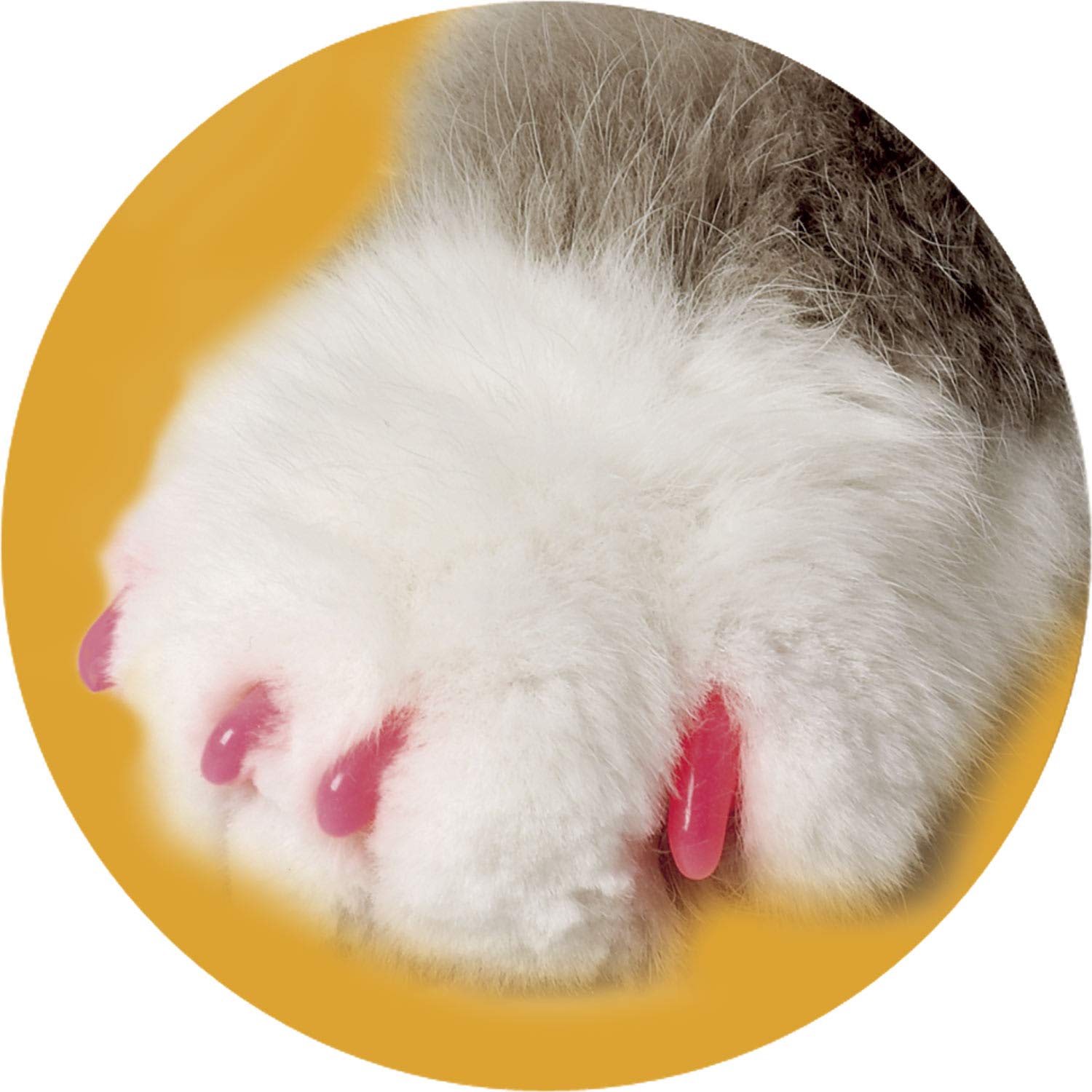 Soft Claws Cleat Lock System Cat Nail Caps, Medium, Pink, Model ZX249 120 209