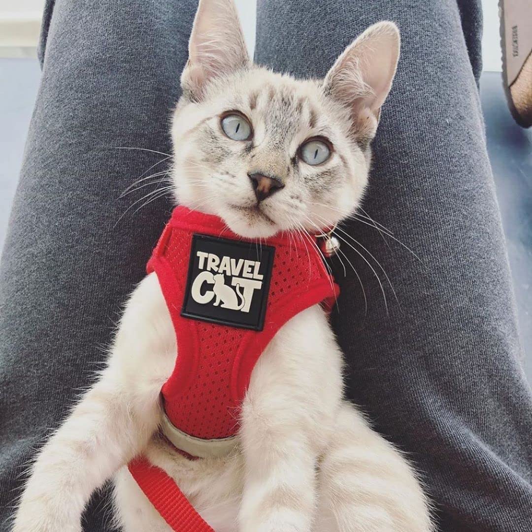 Travel Cat Harness And Leash Set - Adjustable Comfort Fit Mesh Vest Harnesses With Reflective Strap - Snug Fit Harness For Cats, Kitten For Outdoor Walking, Red, Medium (Chest 15-17.3 Inch)