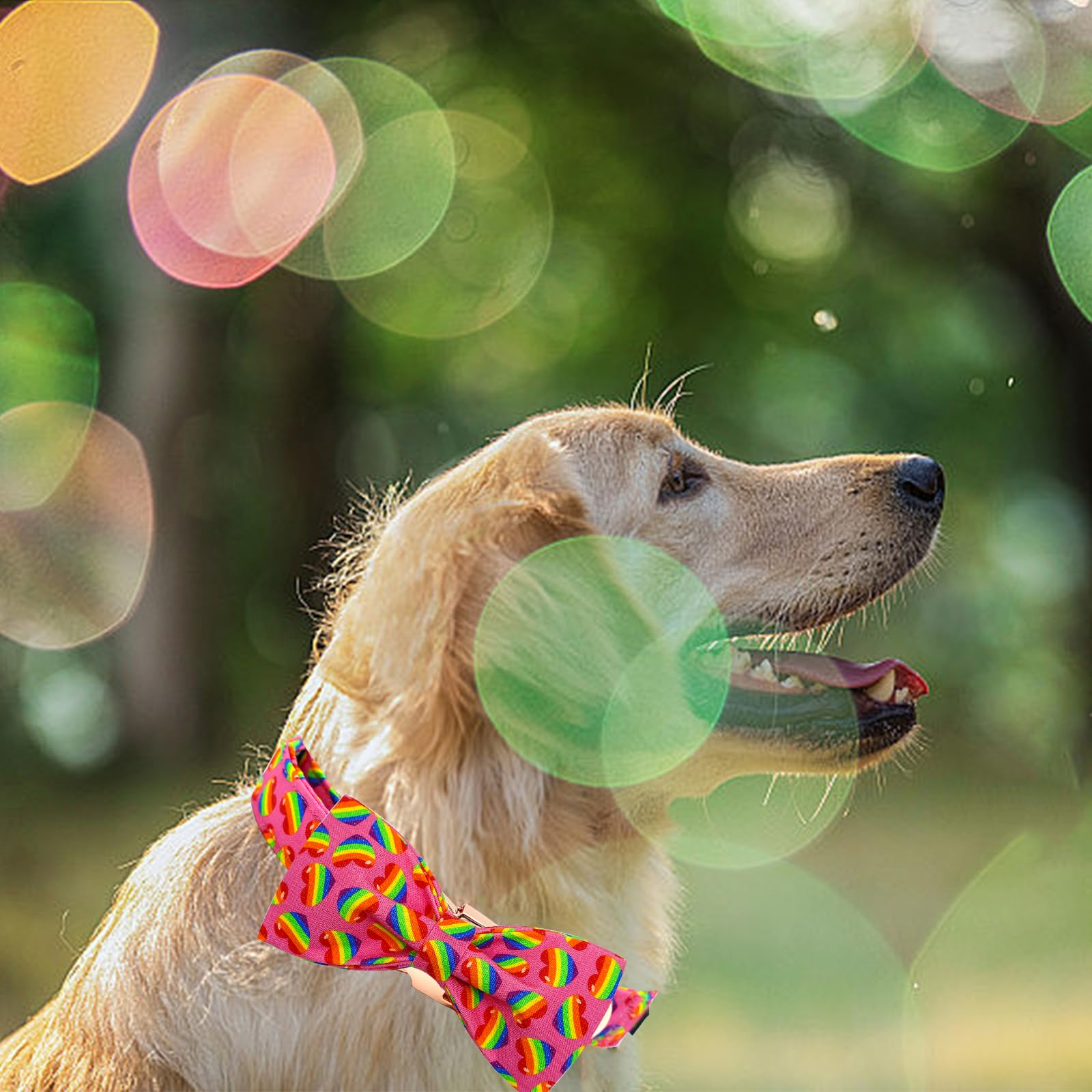 Elegant Little Tail Dog Collar, Rainbow Dog Collars Pet Collar Lgbt For Pride Month Pet Collars Dog Girl Boy Adjustable Puppy Co