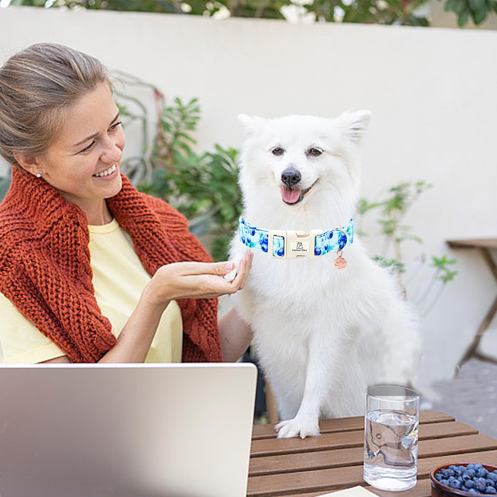 Lionheart Glory Dog Collar Blueberries Print Collar For Large Dogs Spring Summer Female Or Male Collars Pets Gift Adjustable Hea