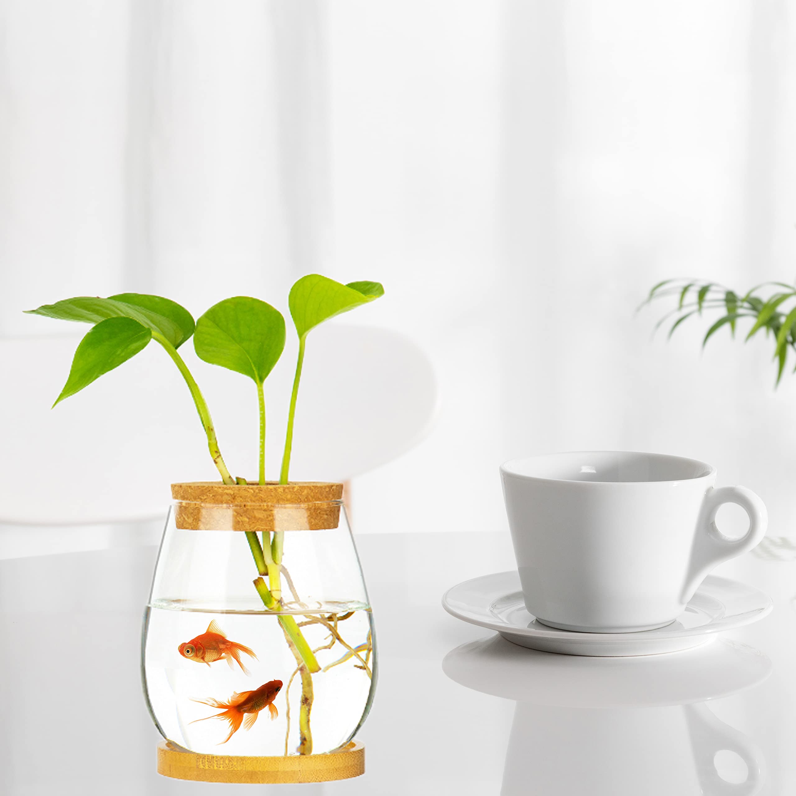 Desktop Fish Bowl Clear Glass Small Fish Tank with Wood Lid and Bamboo Stand for Betta Fish Plants Terrarium Home Office Decorat