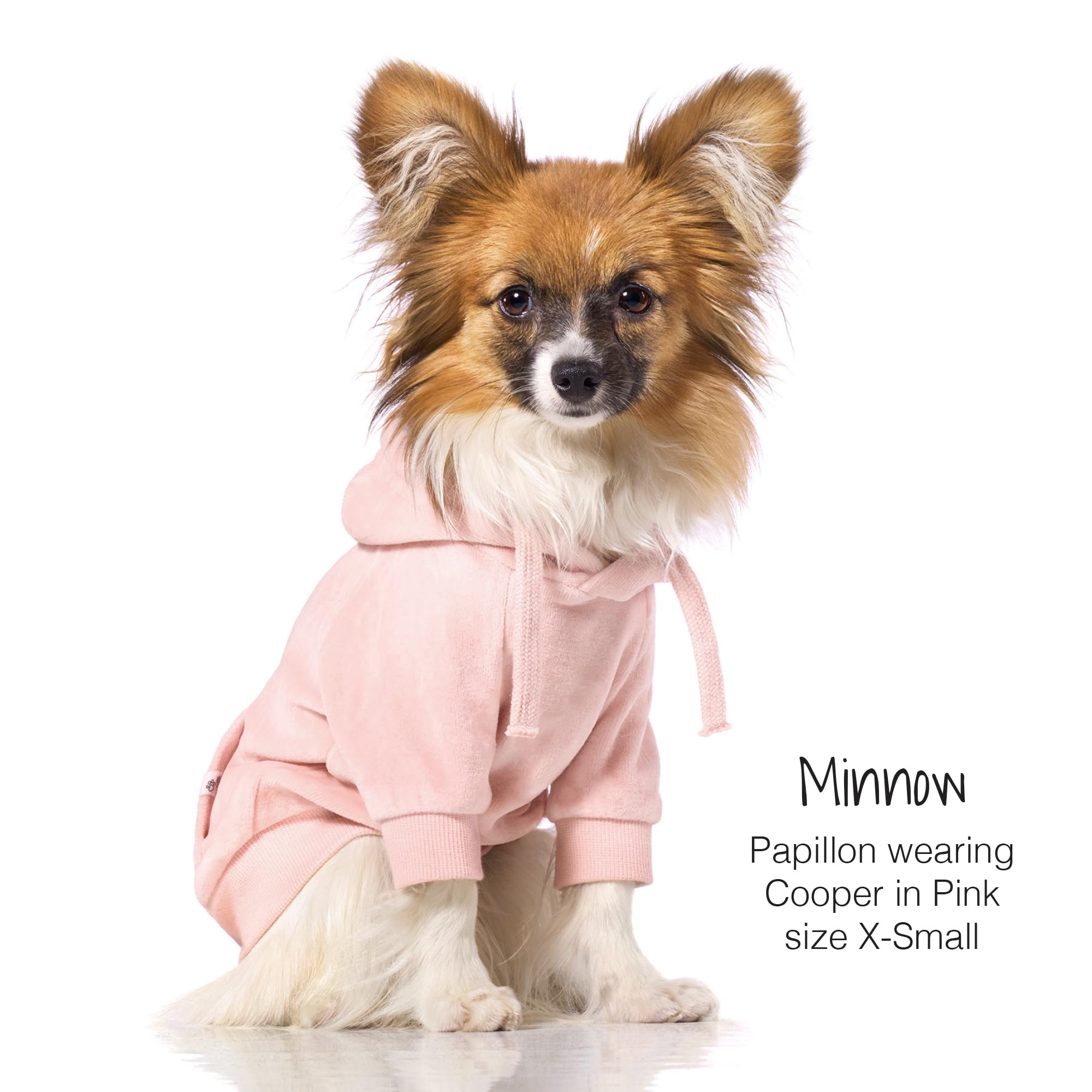 Pet Passion Organic Cotton Velour Dog Hoodie Pet Coat For Small, Medium And Large Dogs, Pink, Small