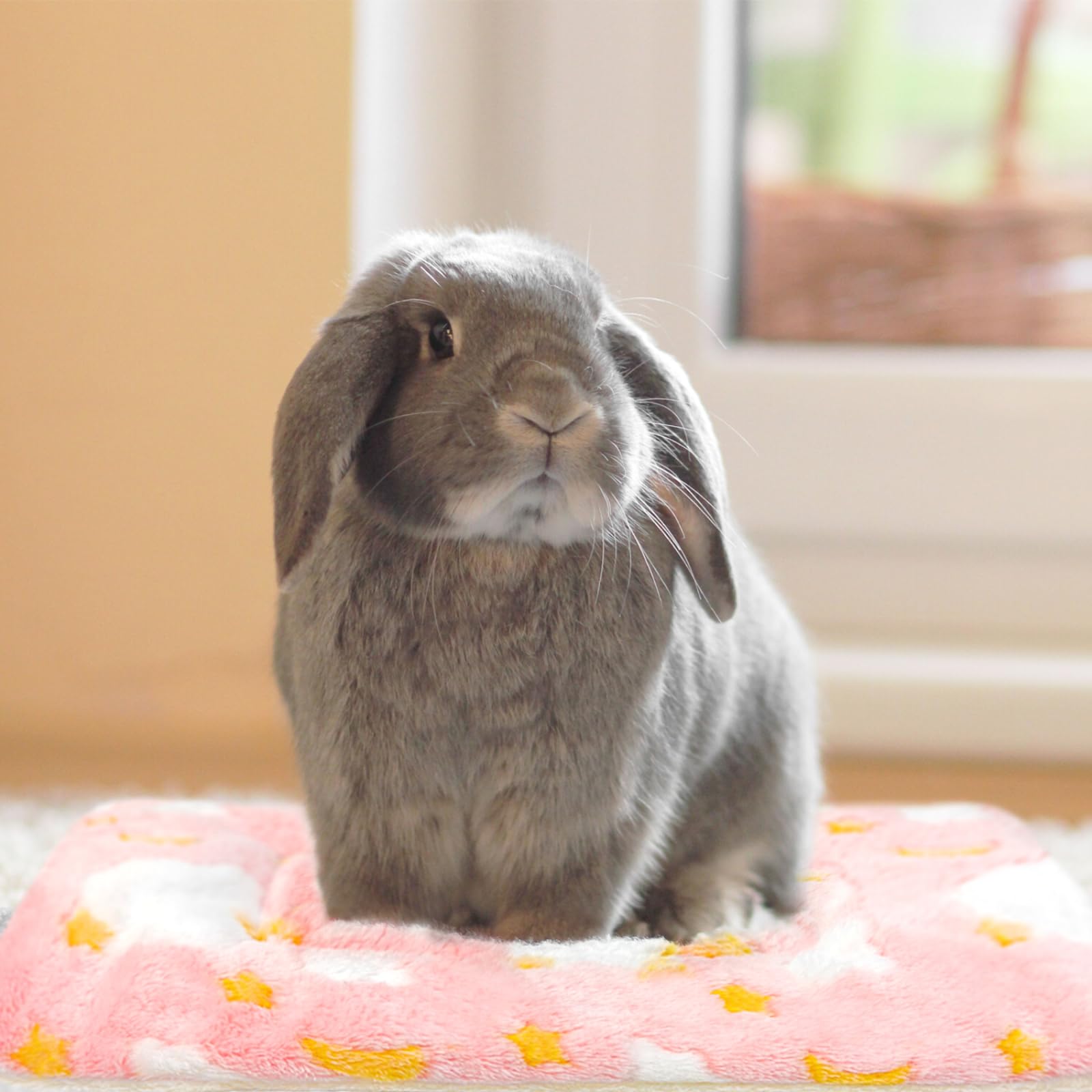 Tierecare 5Pcs Guinea Pig Bed Soft Rabbit Bedding Cage Liner Warm Bunny Mats Pee Pads Fleece Blanket Plush Hamster Sleep Beds Fe