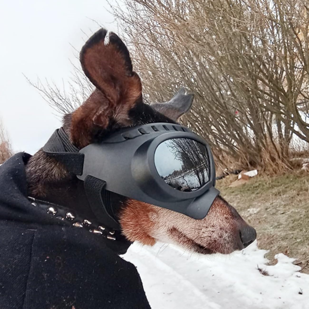 Namsan Dog Goggles For Small Dogs, Wide Nose, Soft Frame, Anti-Uv Tactical Dog Sunglasses Small To Medium Breed, Summer Driving Dog Eye Protection, Winter Snow Eyewear, Adjustable, Silver Lens