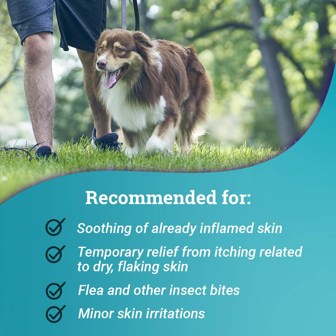 Elanco Relief Shampoo, temporary relief of itching and flaking, moisturizer for dry skin and coat, for dogs, cats and horses, 8