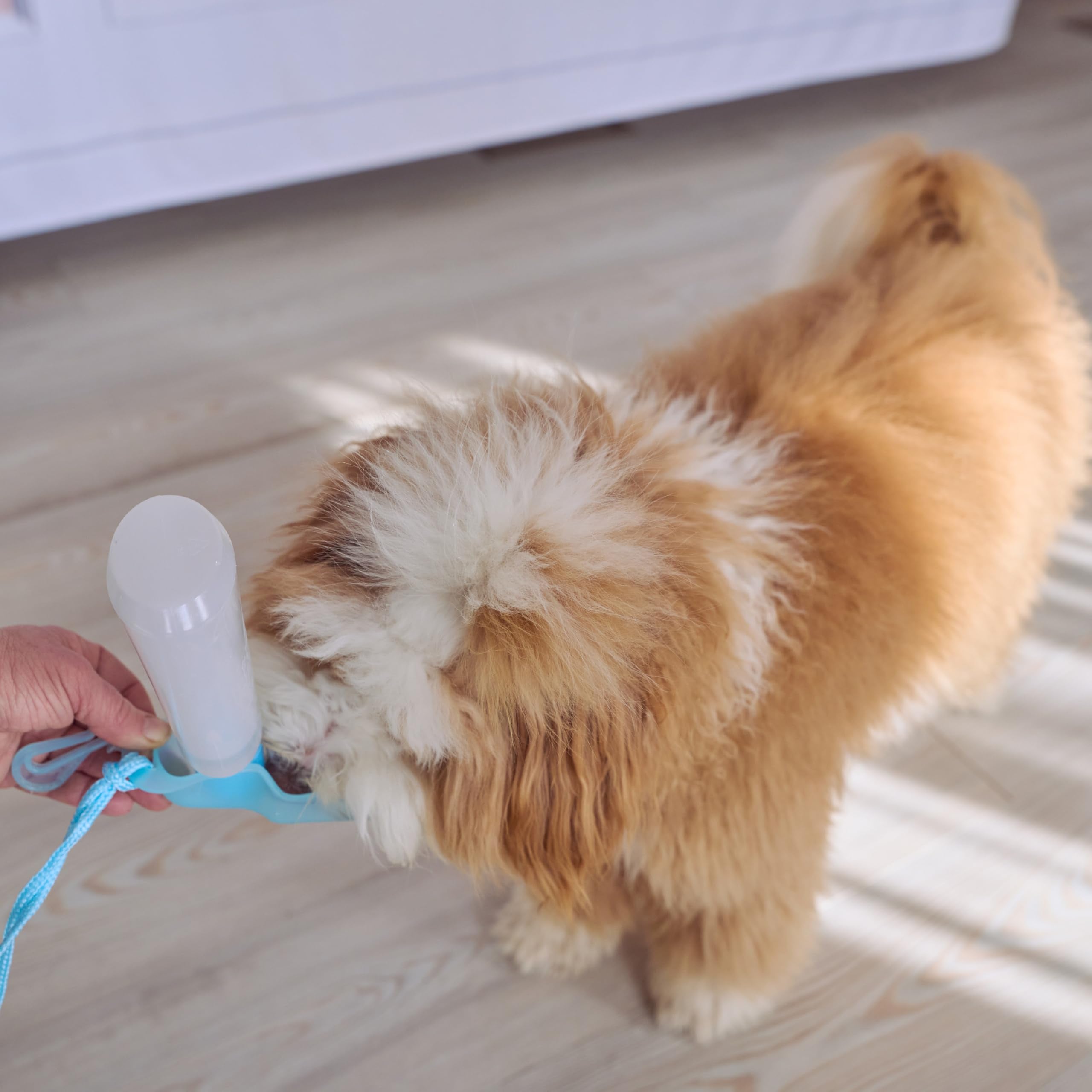 Ethical Pet Handi-Drink 9-Ounce Mini Pet Waterer