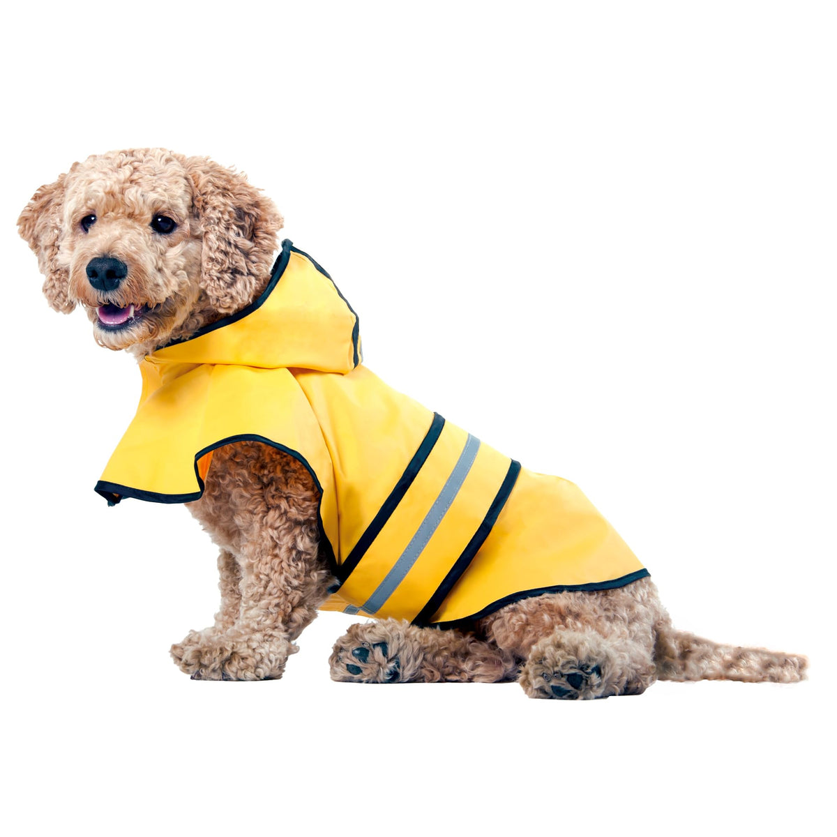 Spot Rainy Days Slicker - Yellow Dog Rain Jacket With Hood, Reflective Strip For Safety, Leash Hole & Adjustable Velcro Belly Strap, 100% Polyester Water Resistant Pet Raincoat - Medium, 13In Long