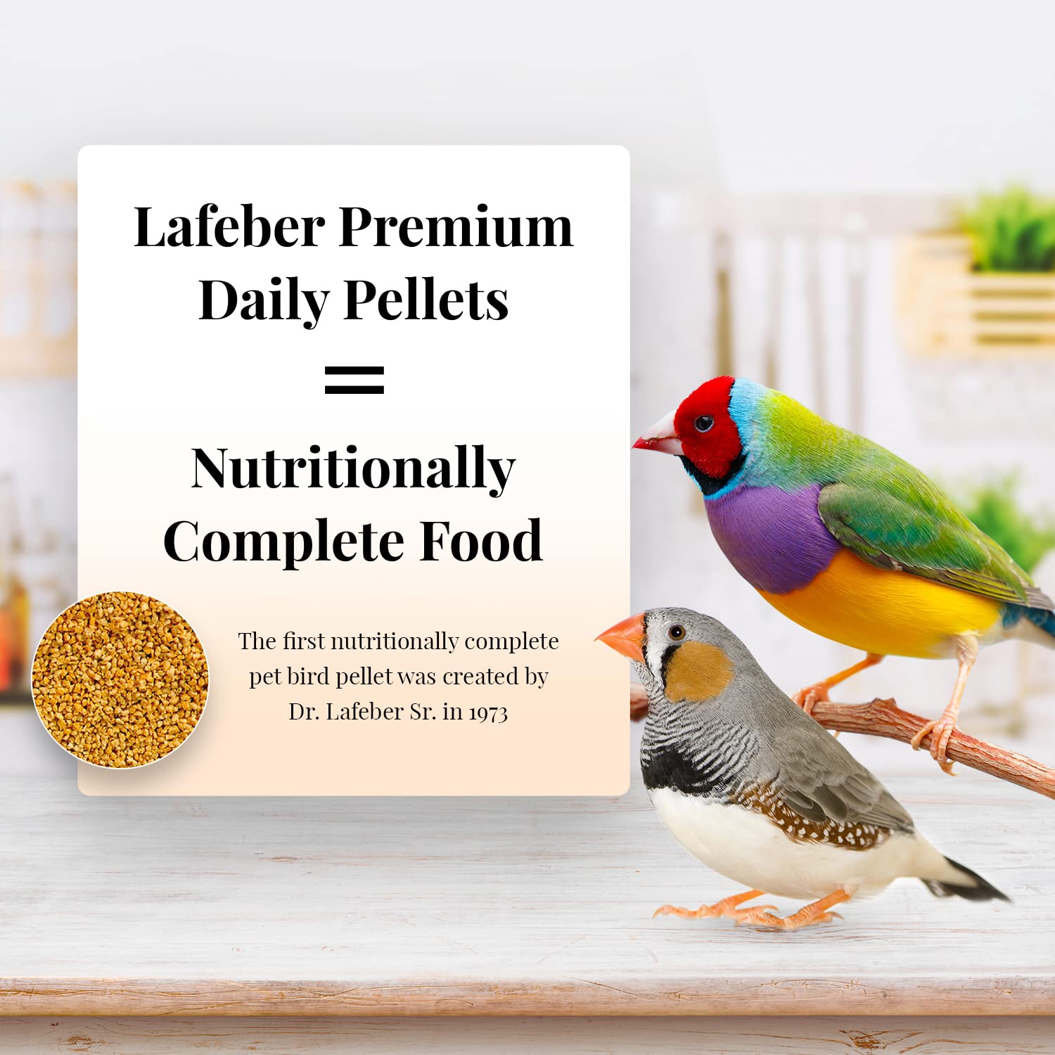 LAFEBERS Finch Premium Daily Diet (Classic, 1 lb)