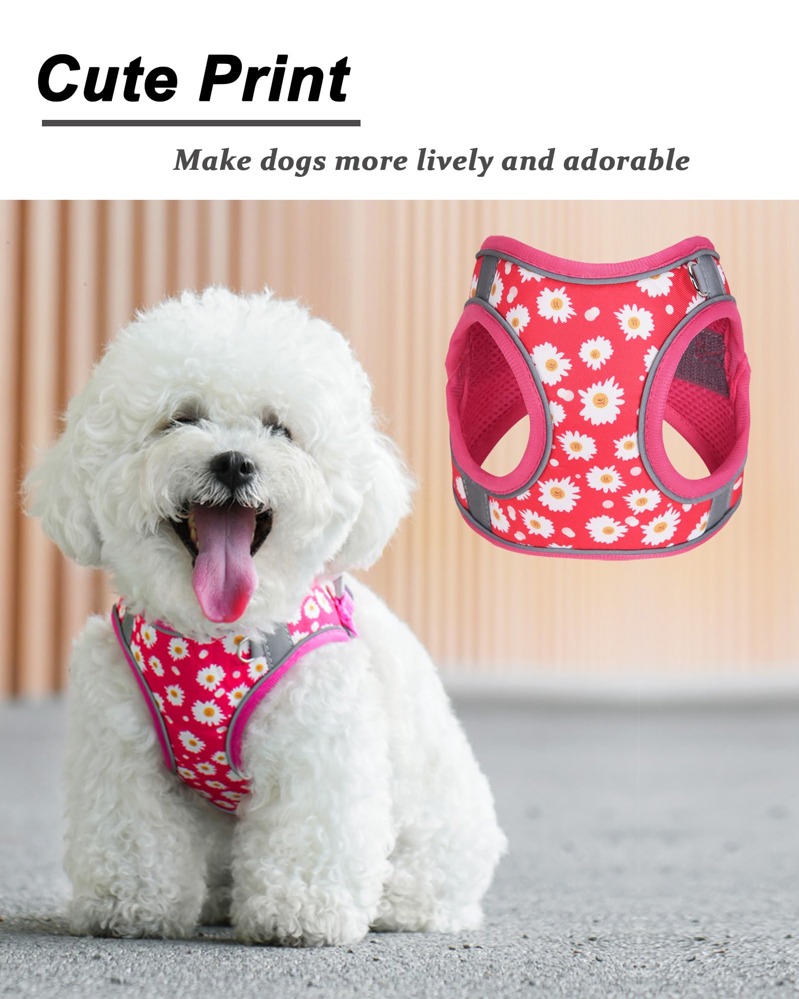 JUFOO M ROSEO Flower Pattern Dog Harness and Leash Set,No Escape Easy Walk Puppy Harnesses for Training Walking,Breathable Adjus