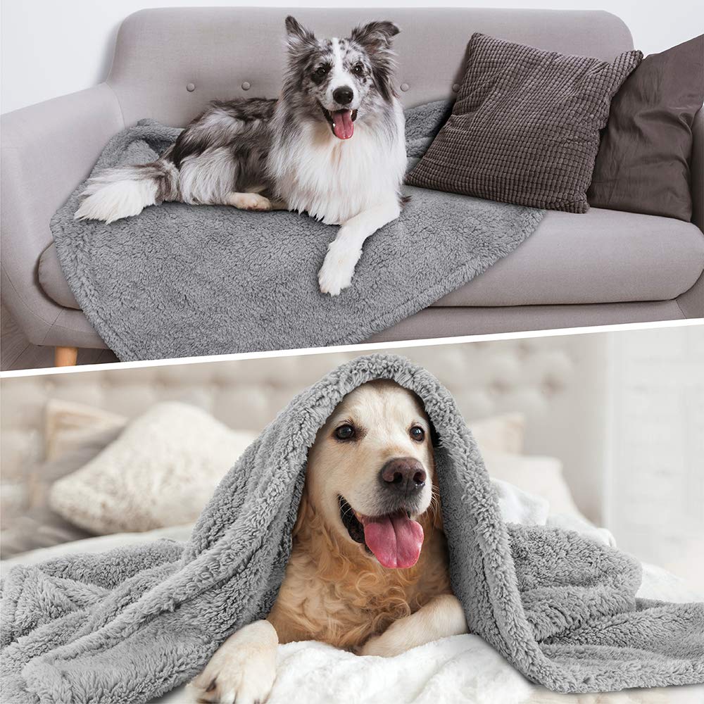 Petami Fluffy Waterproof Dog Blanket For Bed Large Dogs, Soft Warm Pet Sherpa Throw Pee Proof Couch Cover, Reversible Cat Blanket Sofa Crate Kennel Protector, Washable Mat (Light Grey, 60X80)
