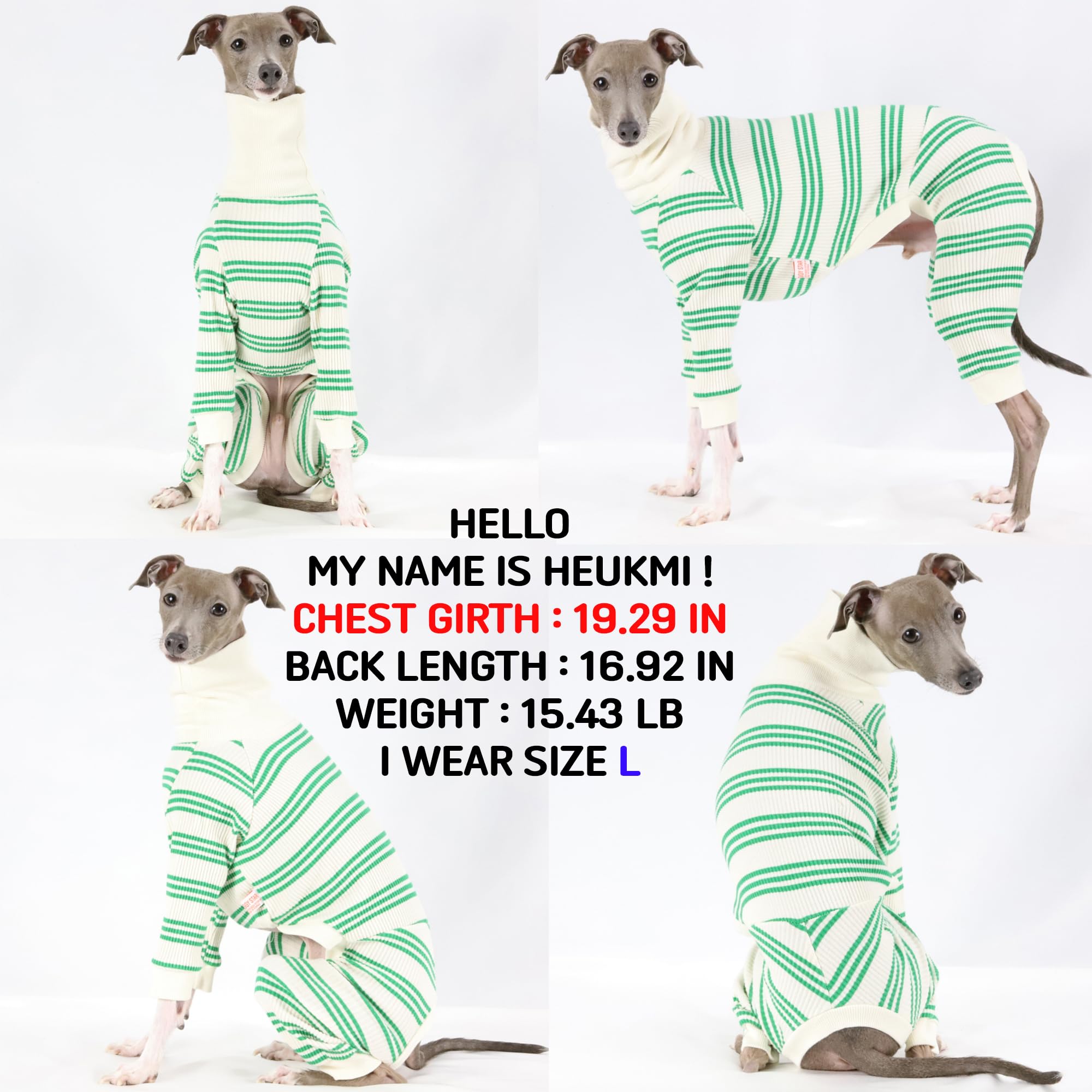 D Doggy Star Italian Greyhound Clothes Soft Stretchy Onesie Refined Stripe Outfit Whippet For Dog Coat (M,Onsi Green Str)