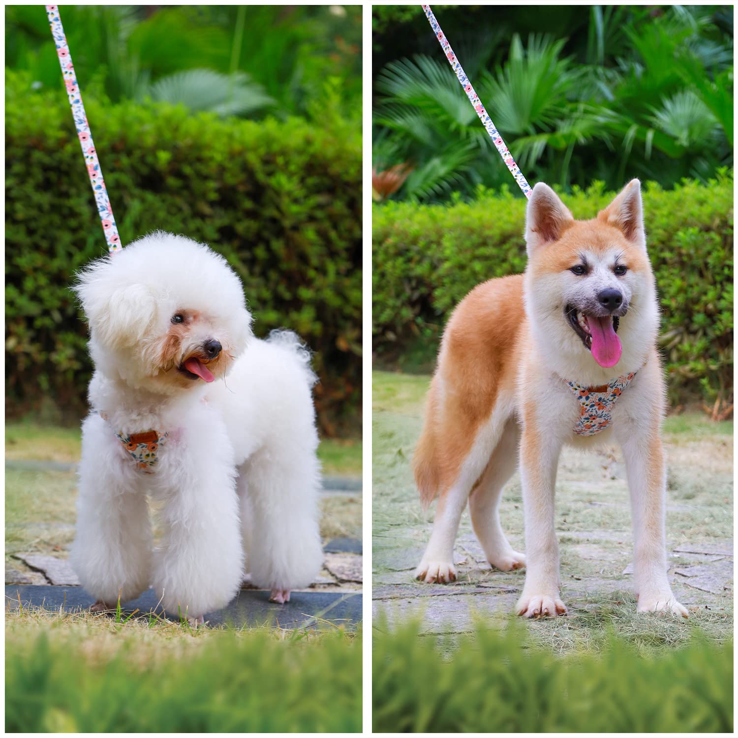 Chede No Pull Floral Pattern Dog Harness- Lightweight, Soft, Adjustable Small Harness And Leash Set, Suitable For Puppy Small An