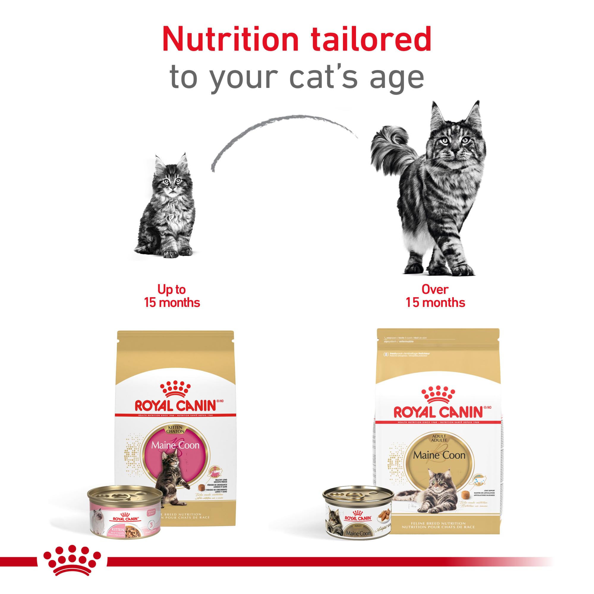 Royal Canin Maine Coon Breed Dry Kitten Food, 3 lb bag