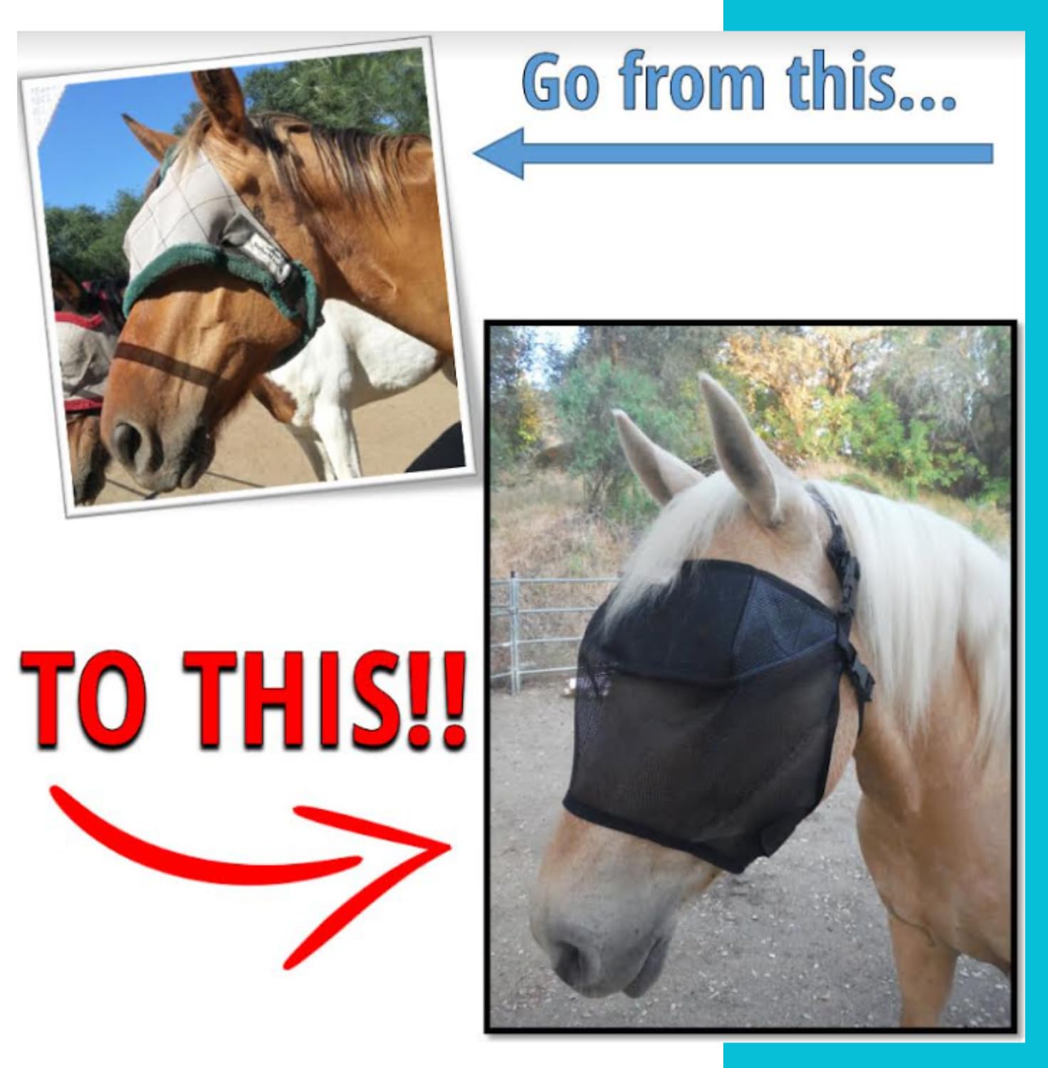 EquiVizor 95% UV Eye Protection (COB) Standard Horse Fly Mask - Help with Uveitis, Corneal Ulcer, Light Sensitivity. Designed to
