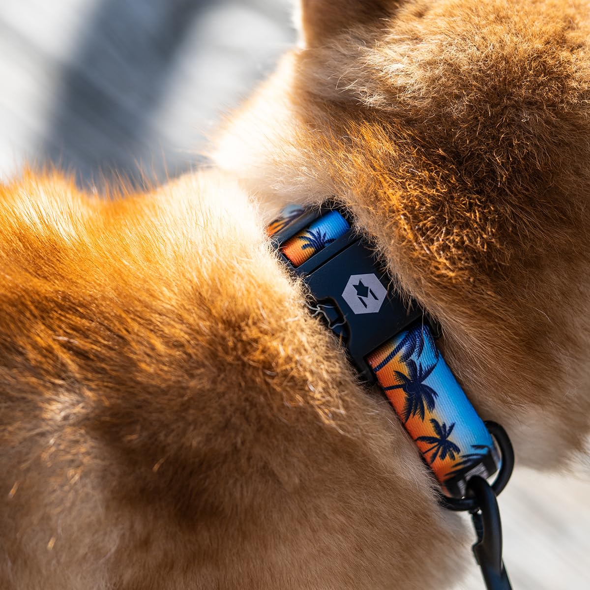 Wolfgang Heavy Duty Adjustable Dog Collar, Large (1" x 18-26"), Polyester, SunsetPalms Print, Quick Release Buckle