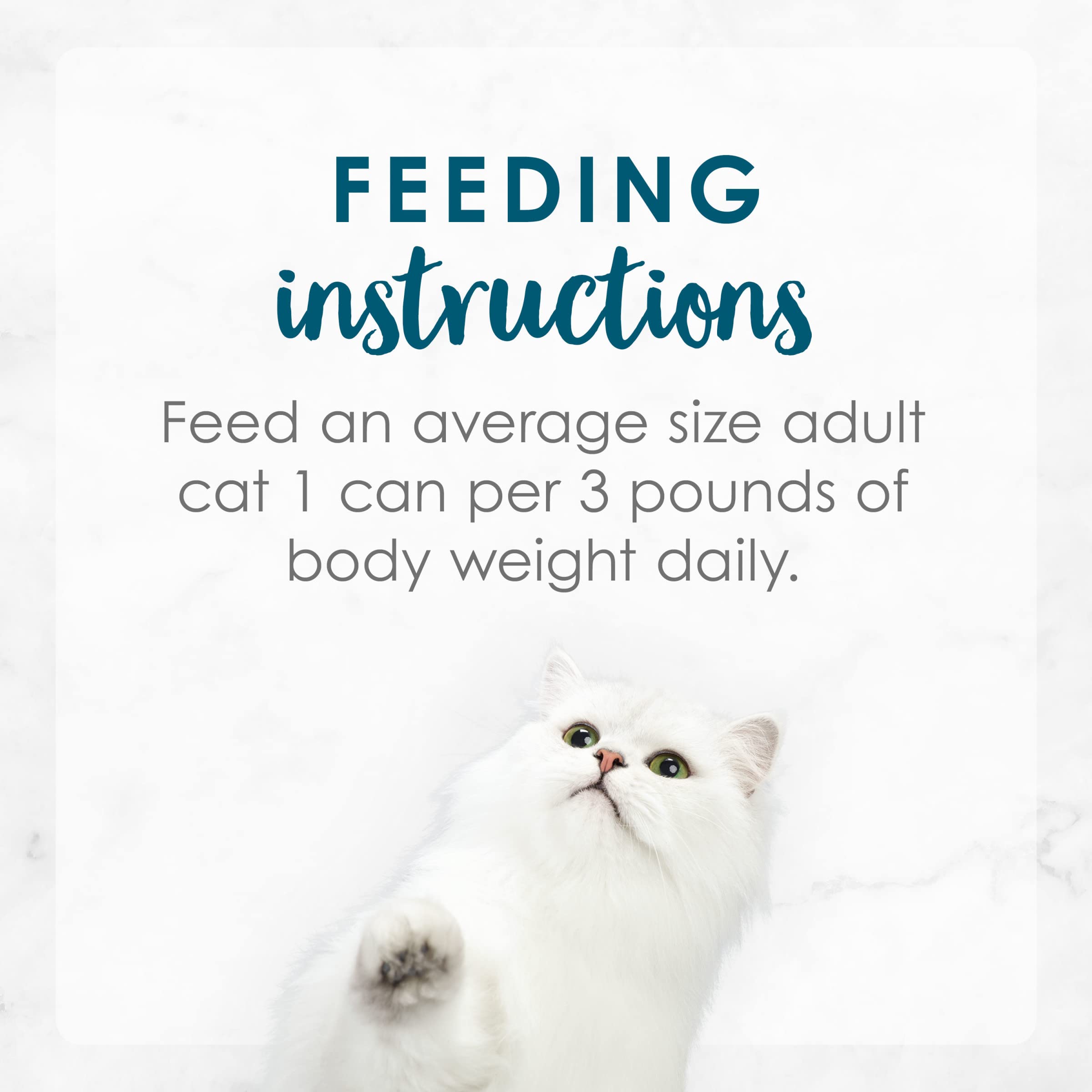 Purina Fancy Feast Senior Wet Cat Food 7 Years Plus Tuna Feast In Gravy Minced - (Pack of 24) 3 oz. Cans