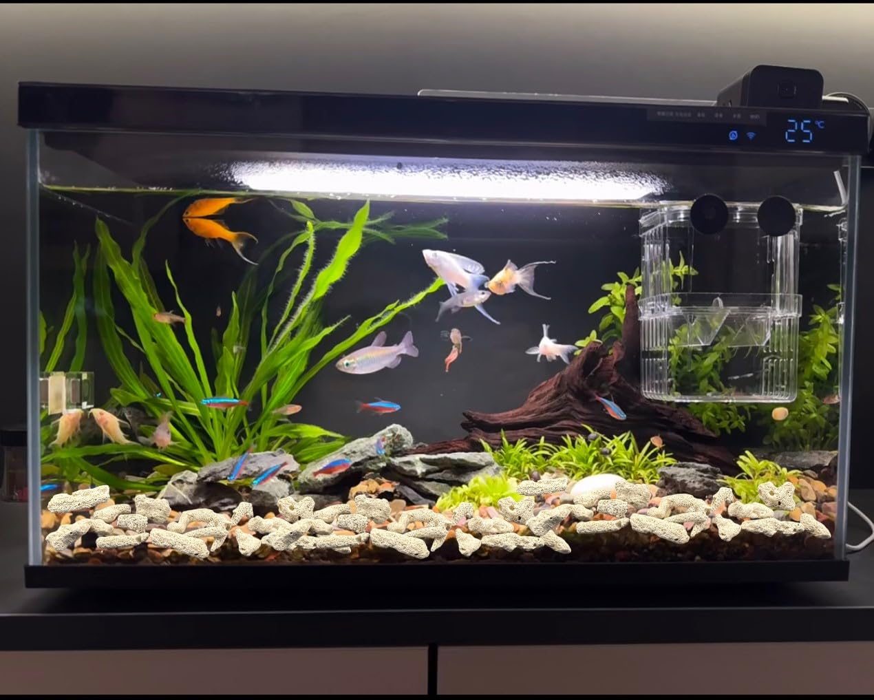 Lighibeuty 2 Packs Crushed Coral Filter For Aquarium,Fish Tank Crushed Coral For Freshwater Aquarium Ph Aquarium Bio Filter Medi