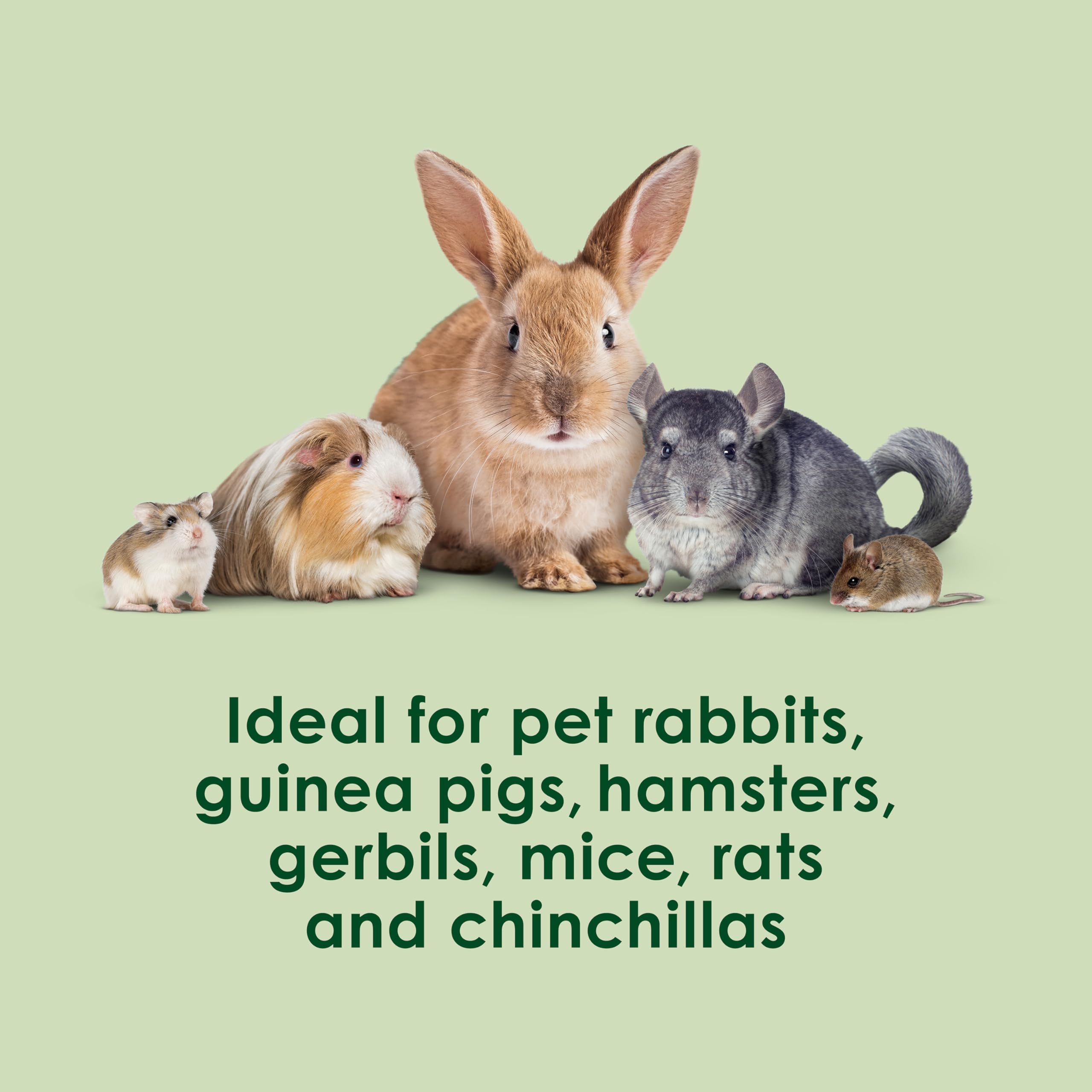 Kaytee Super C Greens, Daily Food Topper with Superfoods for Small Animal Pets, Contains Long-Lasting Vitamin C for Immune Suppo