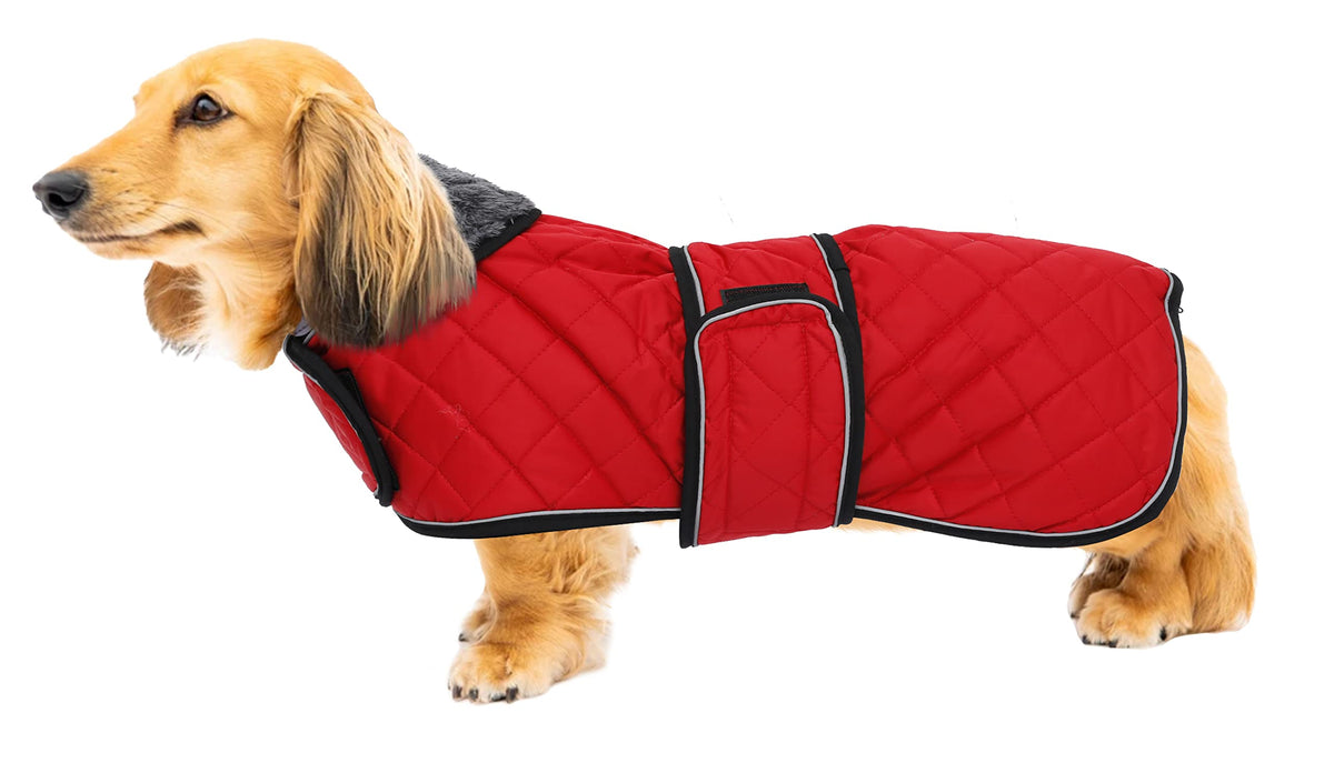 Warm Thermal Quilted Dachshund Coat, Dog Winter Coat With Warm Fleece Lining, Outdoor Dog Apparel With Adjustable Bands For Medium, Large Dog-Red-L