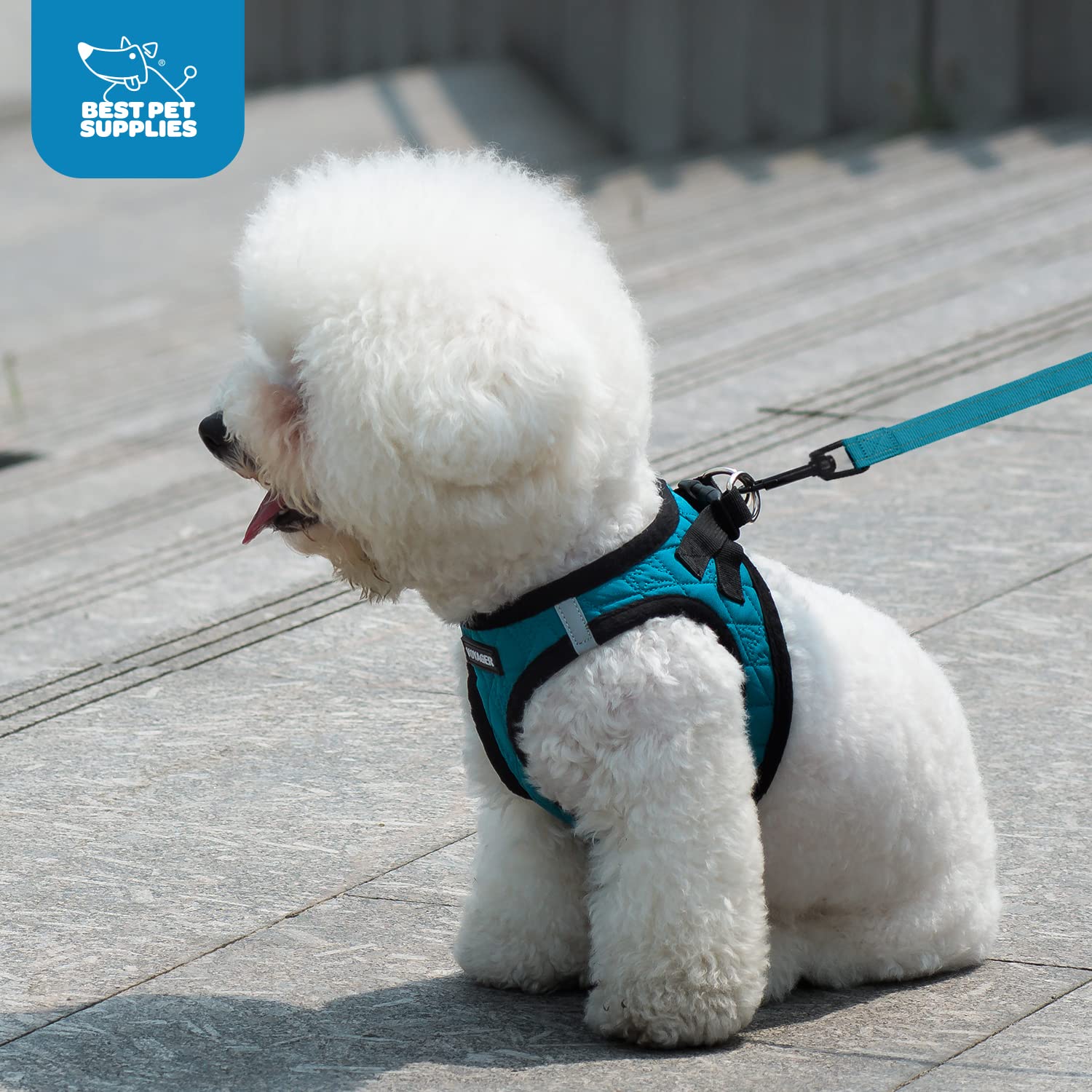 Voyager Step-In Plush Dog Harness - Soft Plush, Step In Vest Harness For Small And Medium Dogs By Best Pet Supplies - Turquoise Plush, M (Chest: 16 - 18')