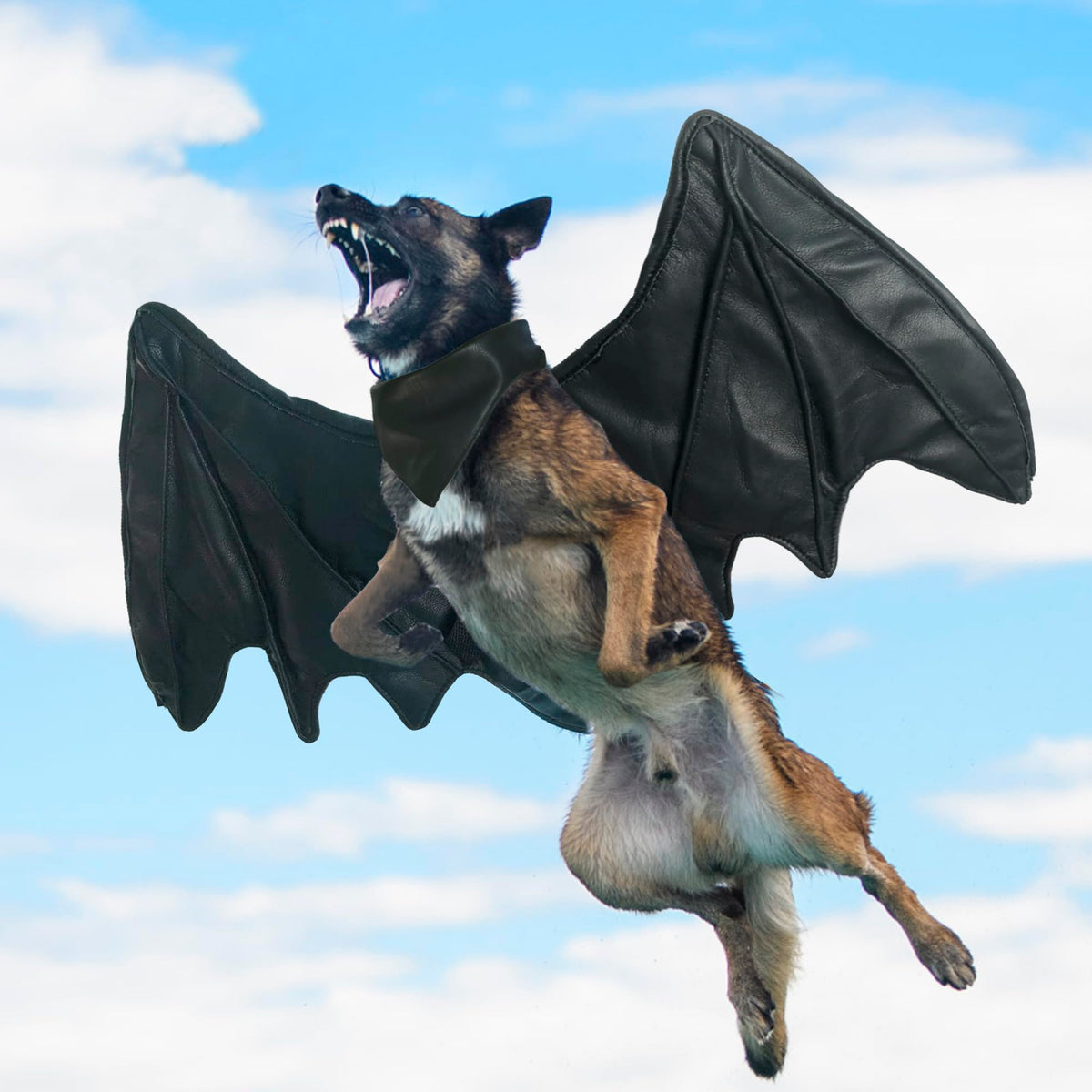 Funny Bat Wing Costumes For Dog, Cute Furry Pet Clothing For Halloween (Black Bat Wing, Size M)