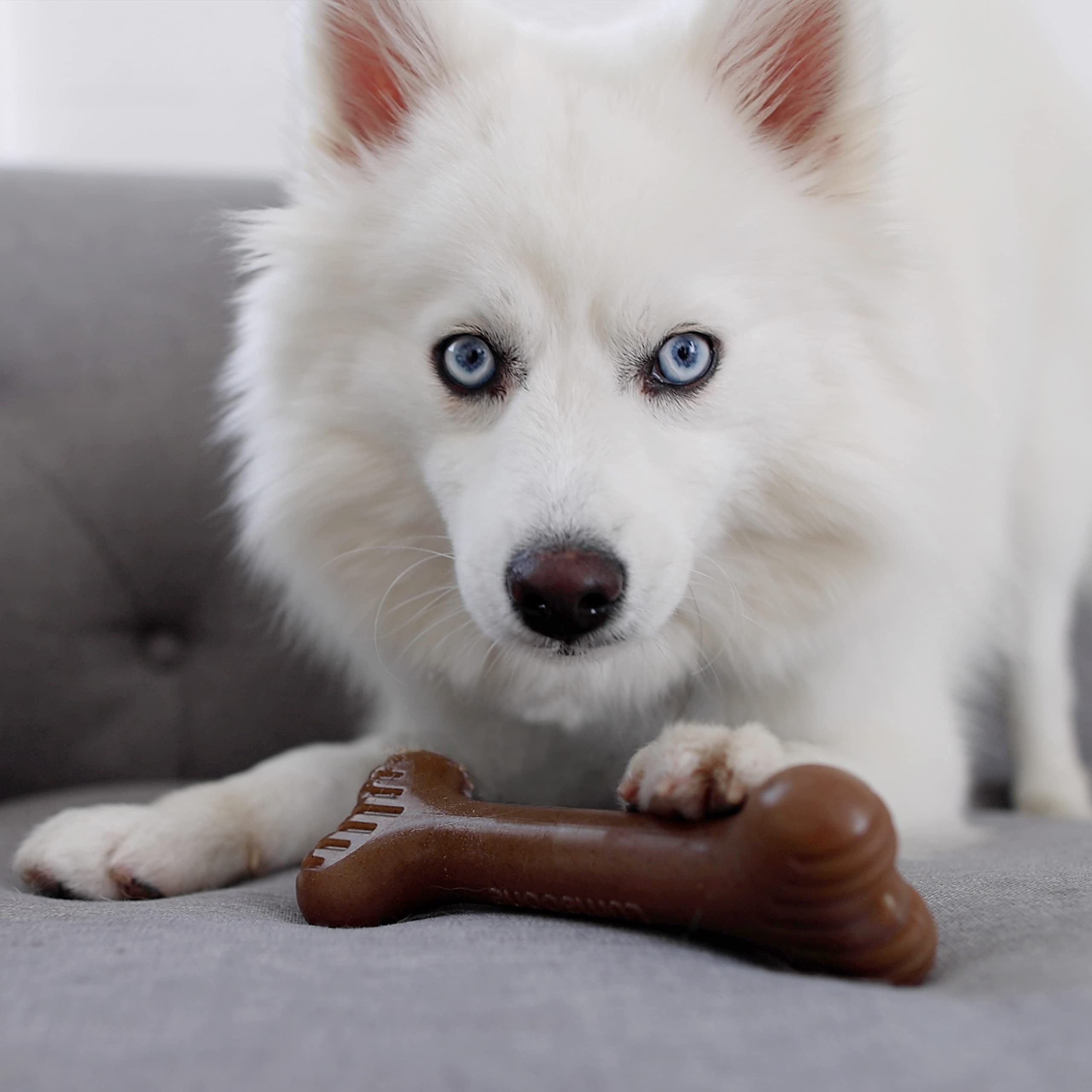 Lumabone Bulkster Durable Chew Toy For Aggressive Chewers, Real Beef, Made In Usa, Small