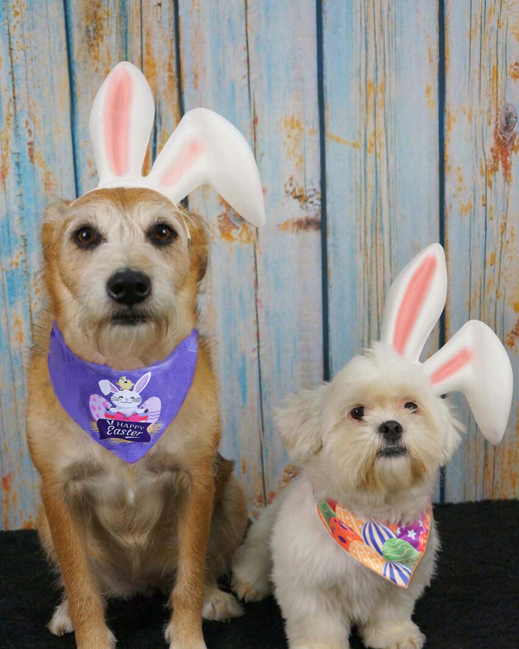 Upaw 2 Pack Dog Easter Bandana - Triangle Bibs Pet Scarf For Small To Large Dogs And Cat