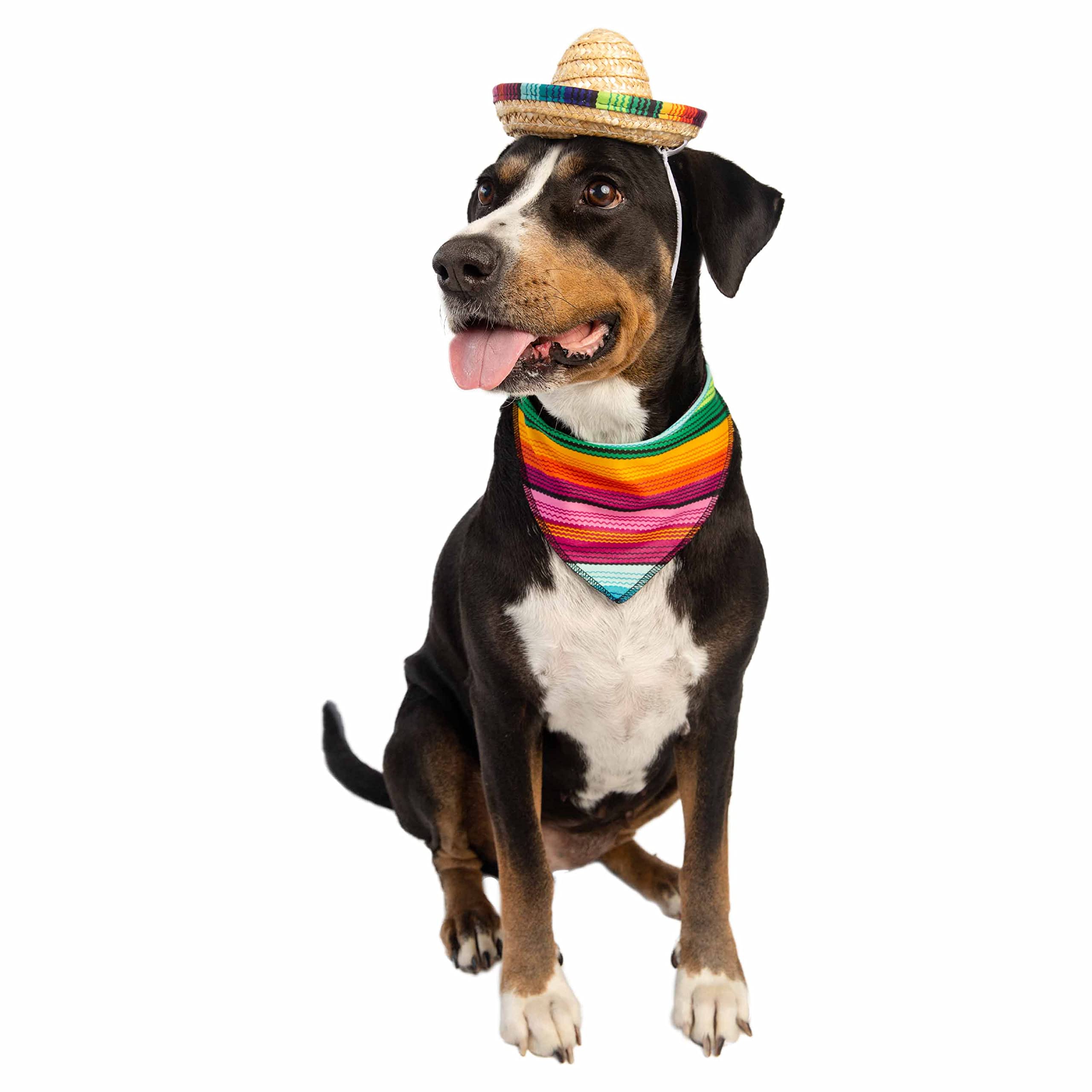 Cinco De Mayo Dog Costume & Cat Costume - 2 Piece Set Mexican Outfit - Mexican Sombrero Hat & Collar - Dog & Cat Sombrero Hat - Dog & Cat Bandana - Mexico Fiesta By Pet Krewe