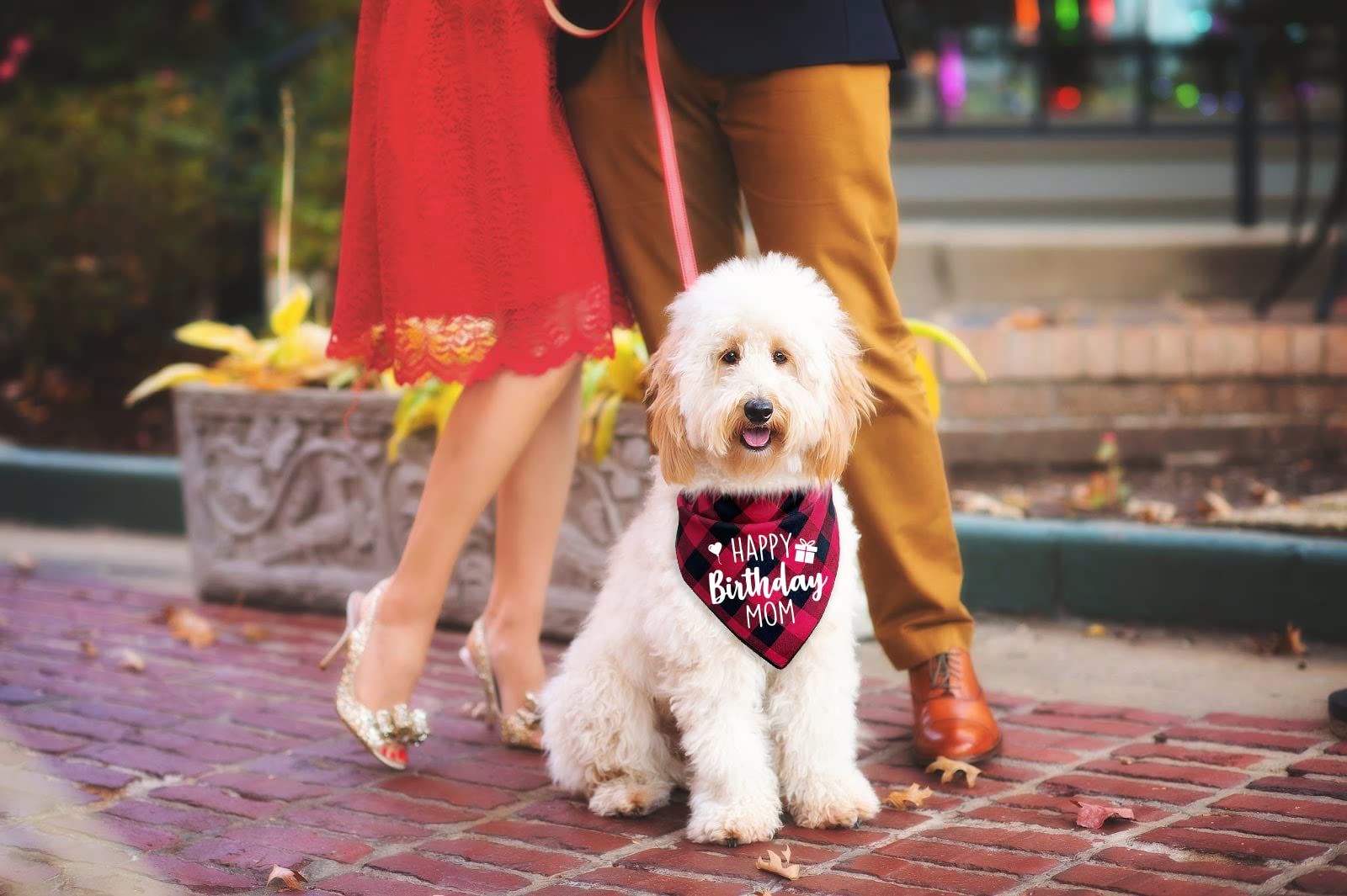 Ptzizi Funny Red Plaid Happy Birthday Mom Dog Printed Triangle Bandana, Small Medium Large Girl Pet Dog Birthday Party Scarf Bib
