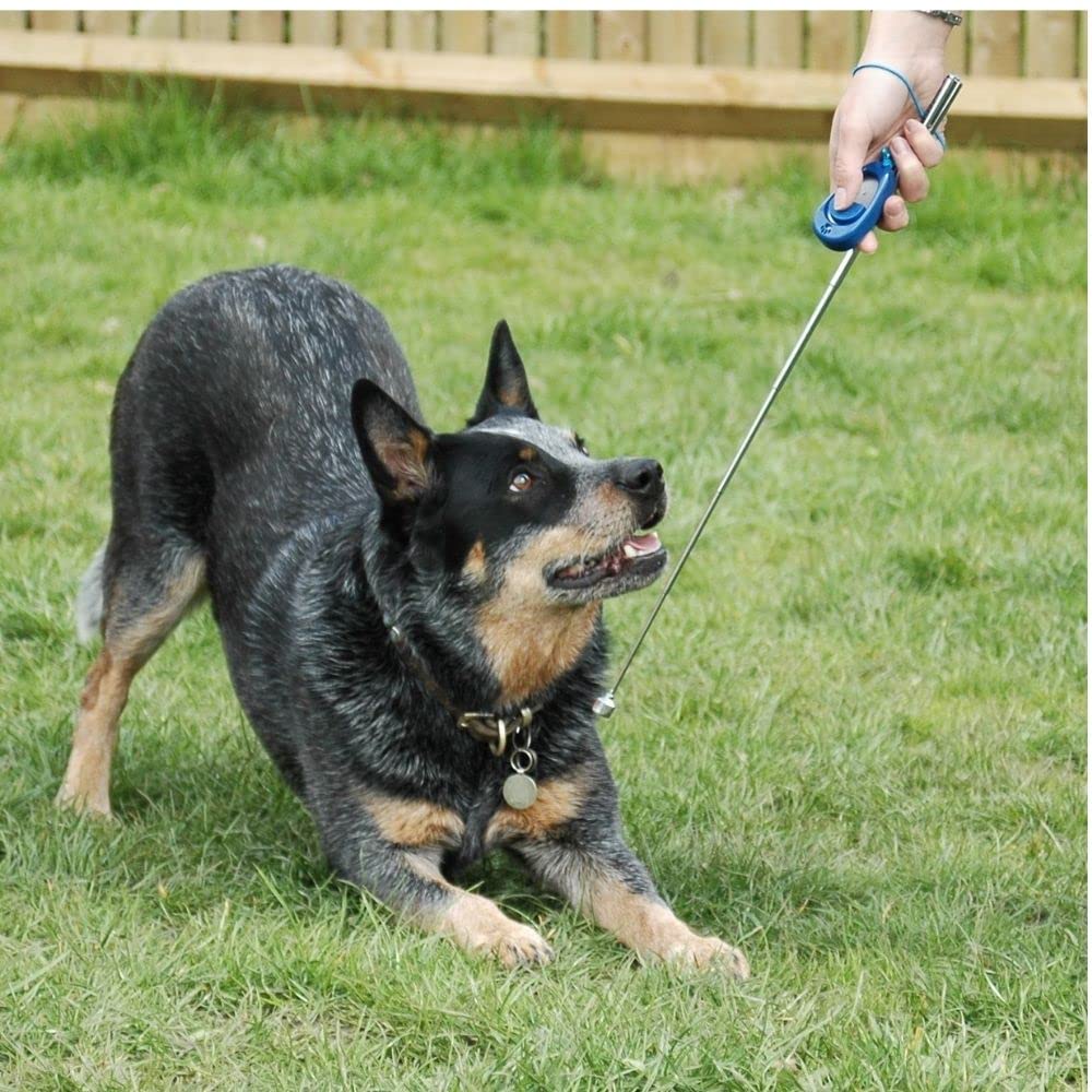Company Of Animals Multi-Clicker, Adjustable Volume, Loud And Quiet Clicks, Easy To Click, Wrist Strap, For All Dogs Including Sensitive Dogs And Puppies