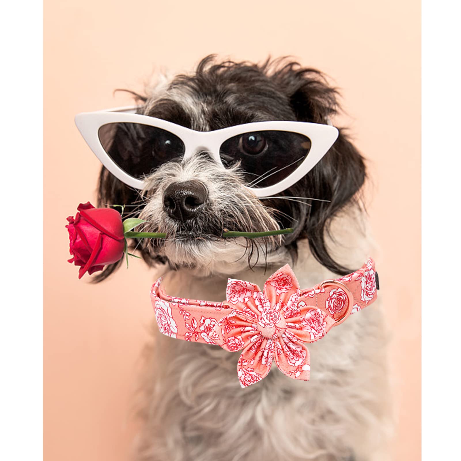 Lionheart Glory Valentine 's Day Collar with Flower, Pink Collar with Bowtie for Small Dogs