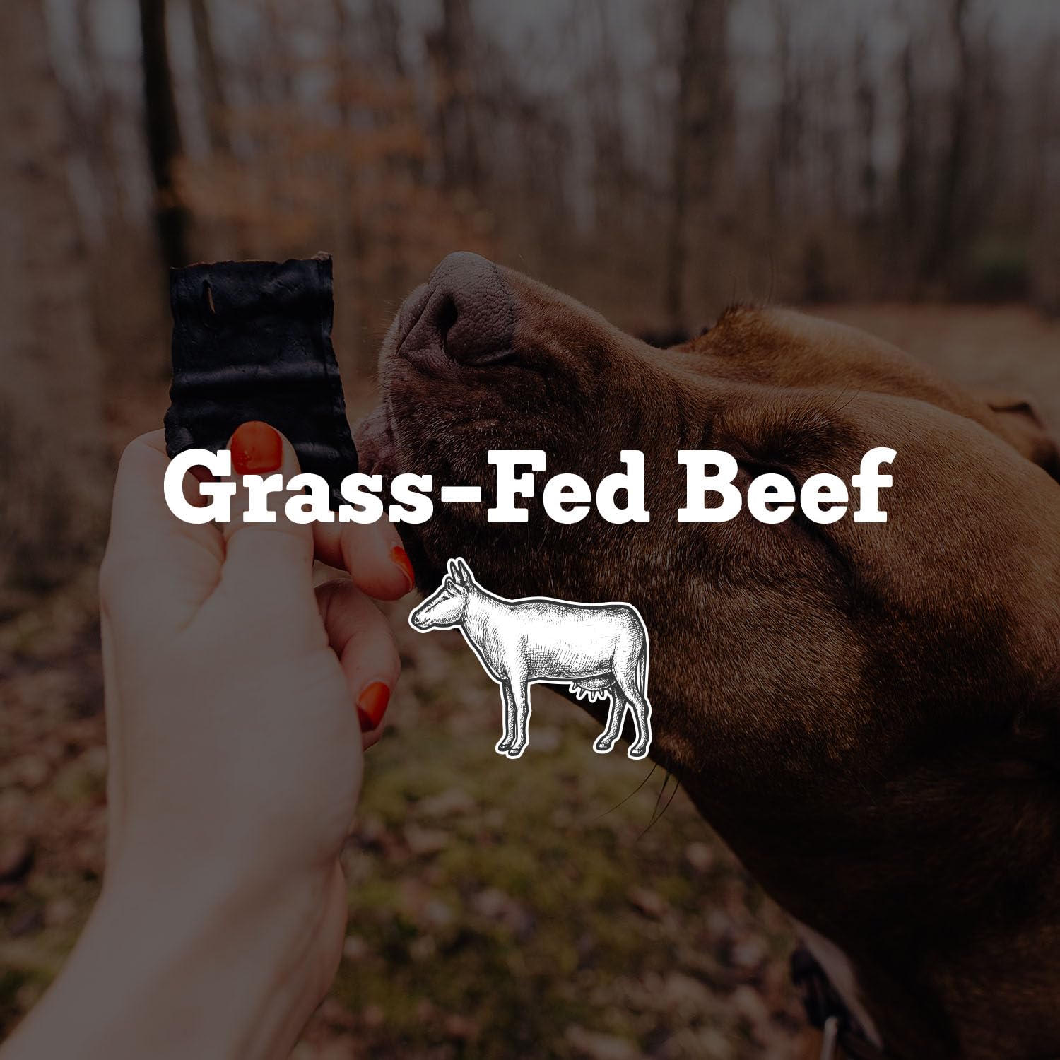 Farm Hounds - Beef Trainers - Premium Natural Beef Jerky for Dogs - Made from 100% Humanely Raised Cattle - Easy-Break - Great f