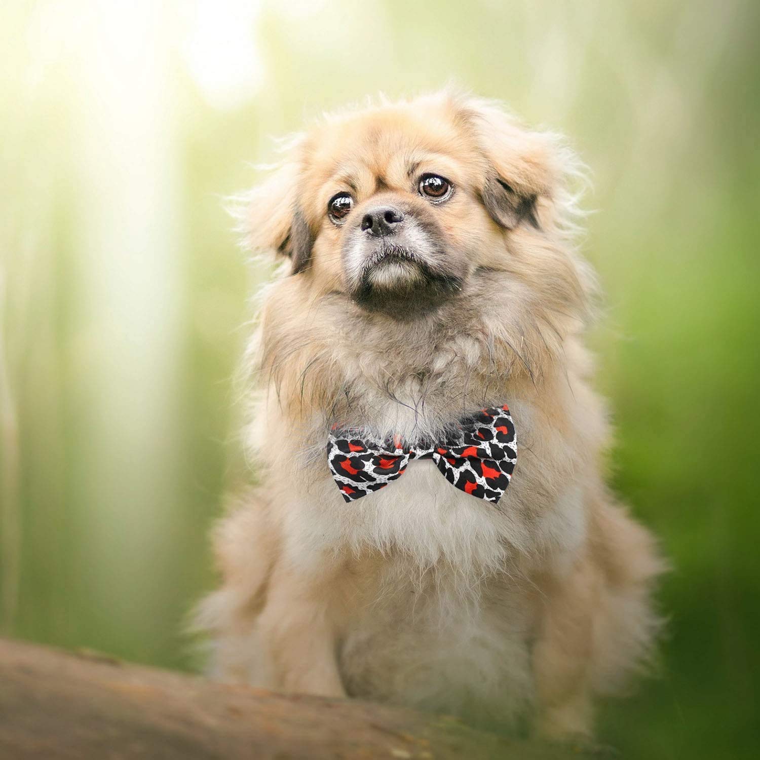 Dog Bow Ties, 40 Pcs Segarty Pet Neck Bows, Bulk Pet Bowties With Adjustable Collar, Grooming Bowknot For Christmas Birthday Holiday Valentine Party Dog Photography Accessories Gift For Puppy Dogs Cat