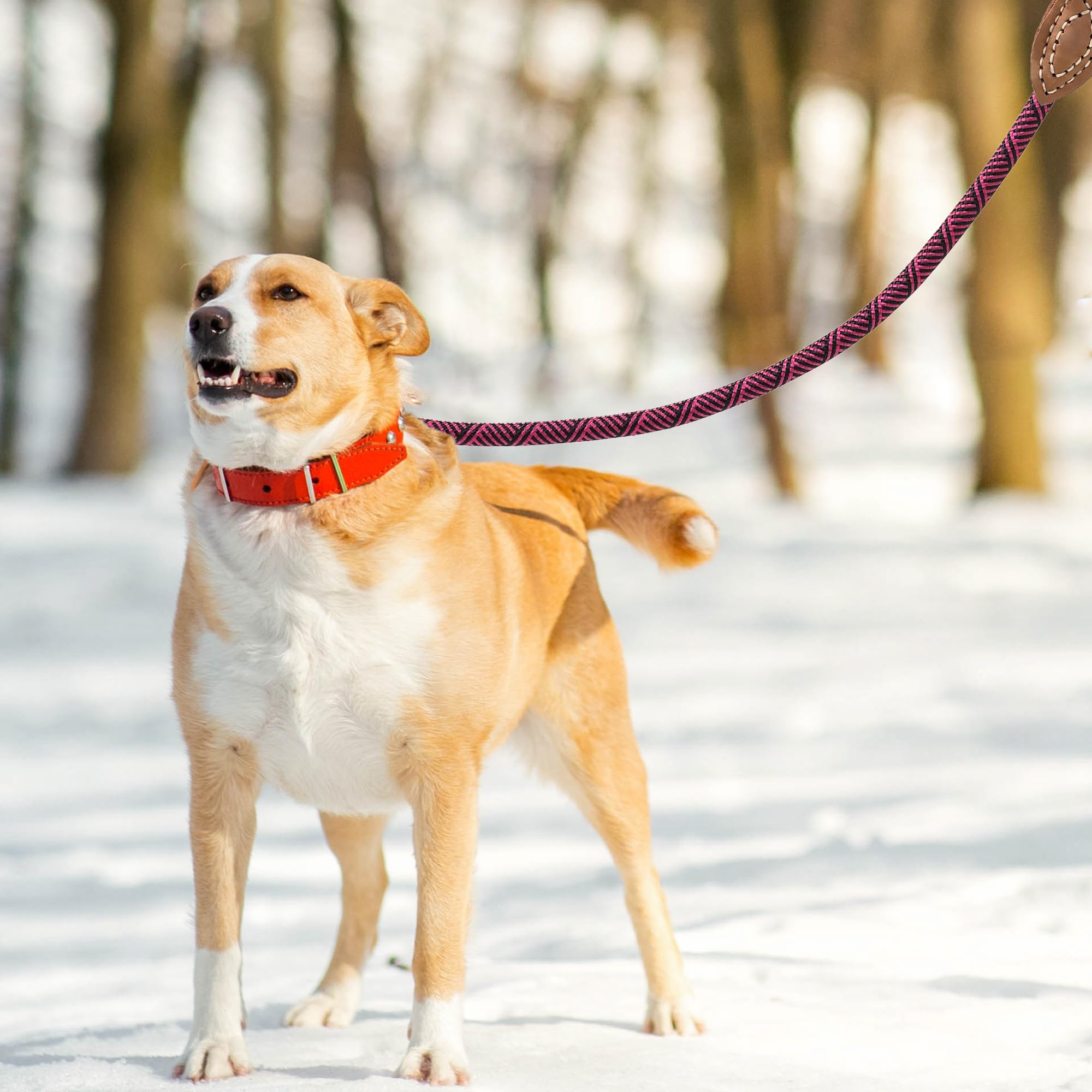 Mile High Life Rope Leash With Genuine Leather Connection, 6 Ft/5 Ft/4 Ft, Heavy Duty Leash For Medium & Large Dogs (Hot Pink, 7