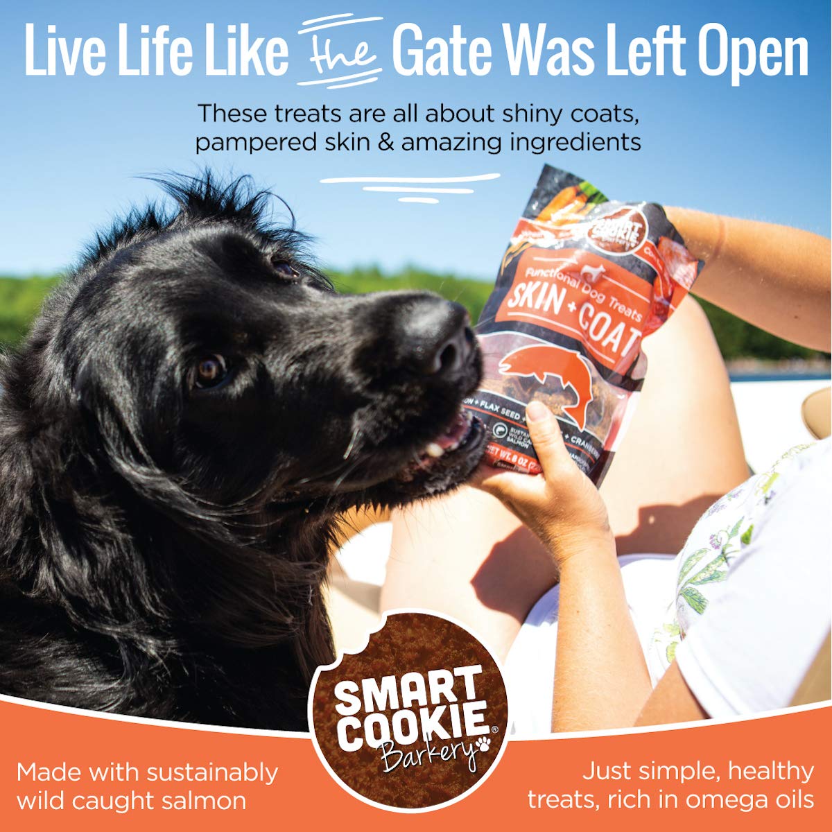 Smart Cookie All Natural Dog Treats - Healthy Skin & Coat Salmon Dog Treats - Ideal for Sensitive Stomachs or Itchy, Allergic, D