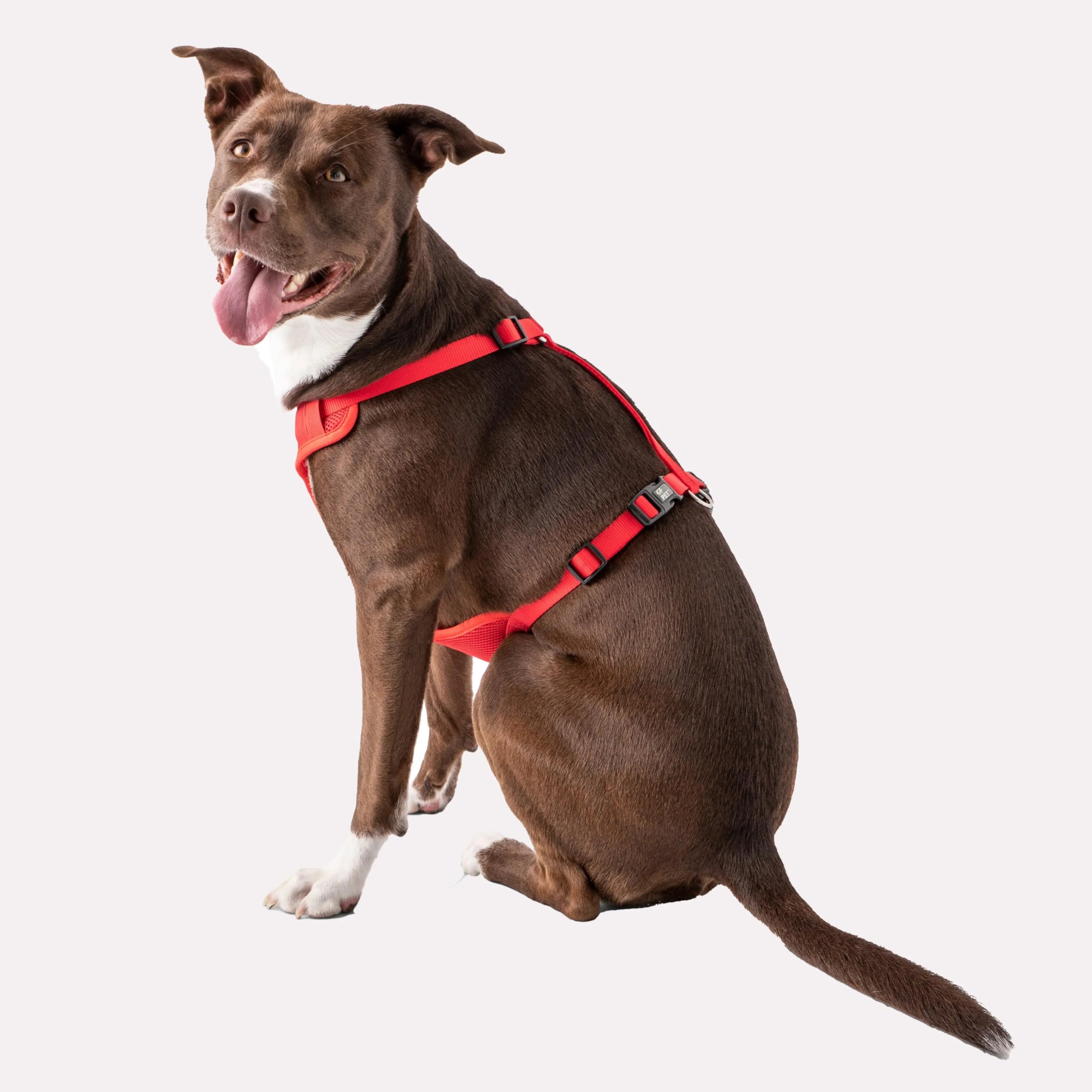 Gf Pet Travel Harness - Red - M