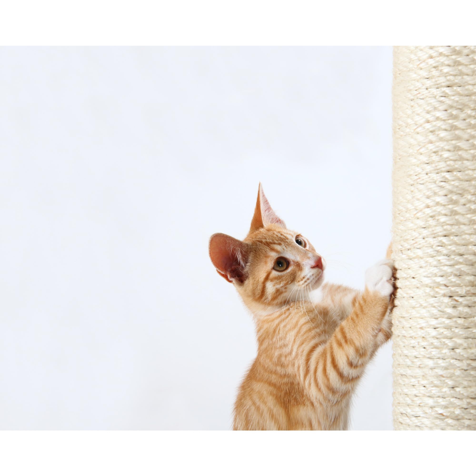 Trixie Replacement Sisal Post For Scratching Posts, Cat Trees And Cat Towers, 3.5 In X 11.8 In (9 X 30 Cm)